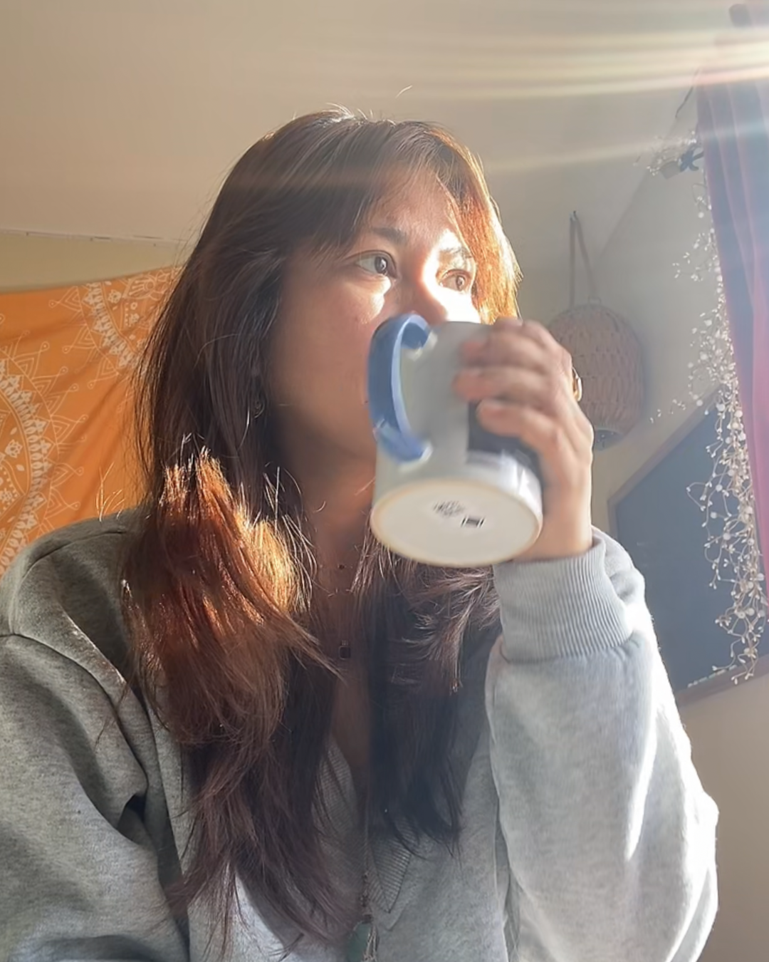 A woman with brown hair is drinking from a mug, sunlight shining through a window illuminating her face and hair. She is wearing a gray sweatshirt.