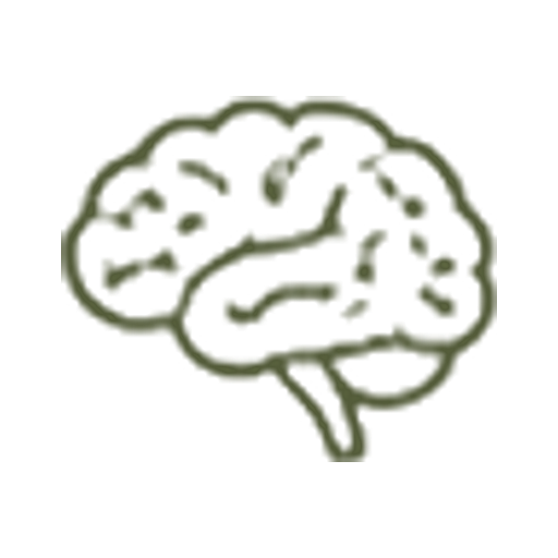 The Nervous System
