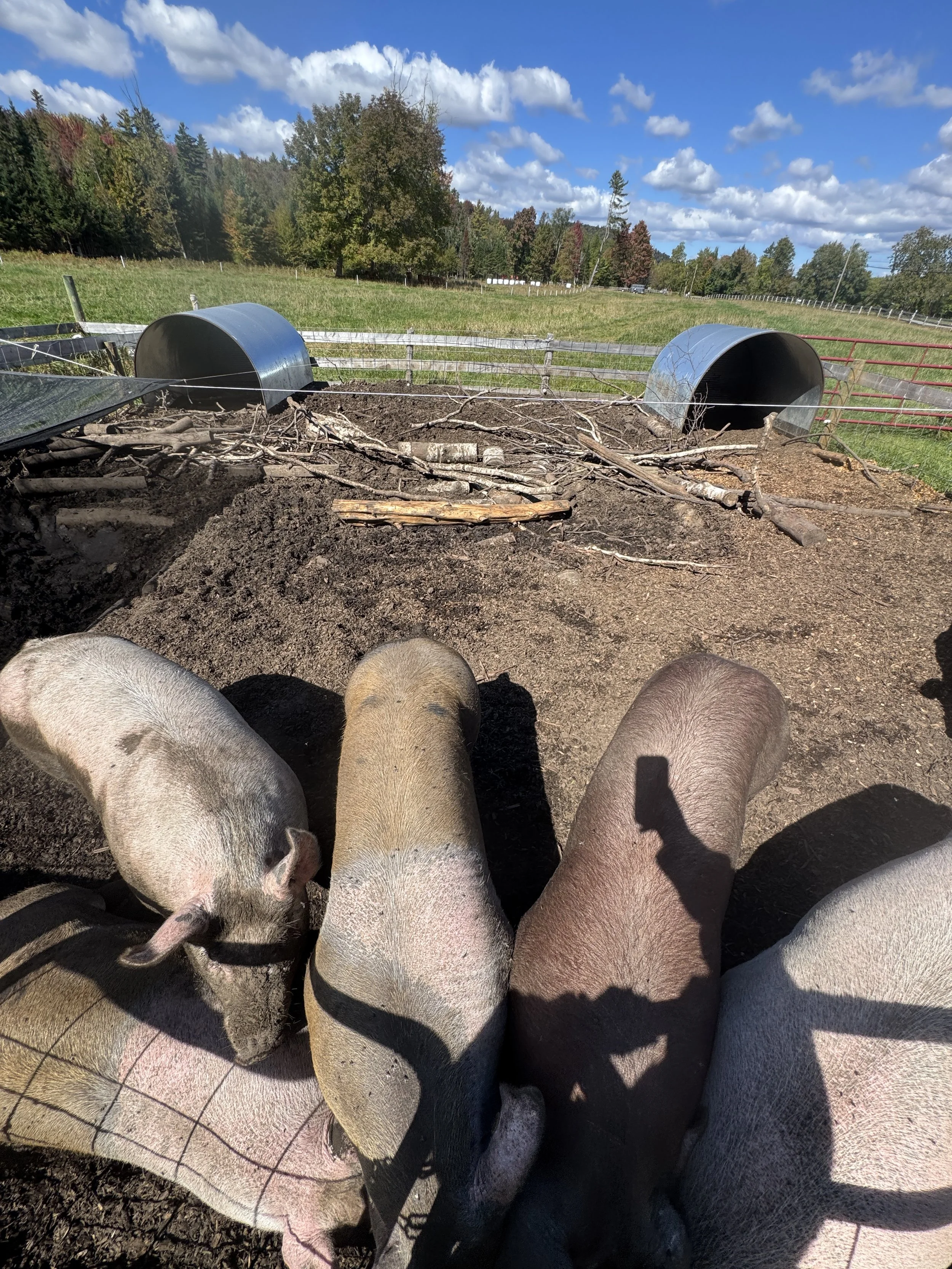 Compost