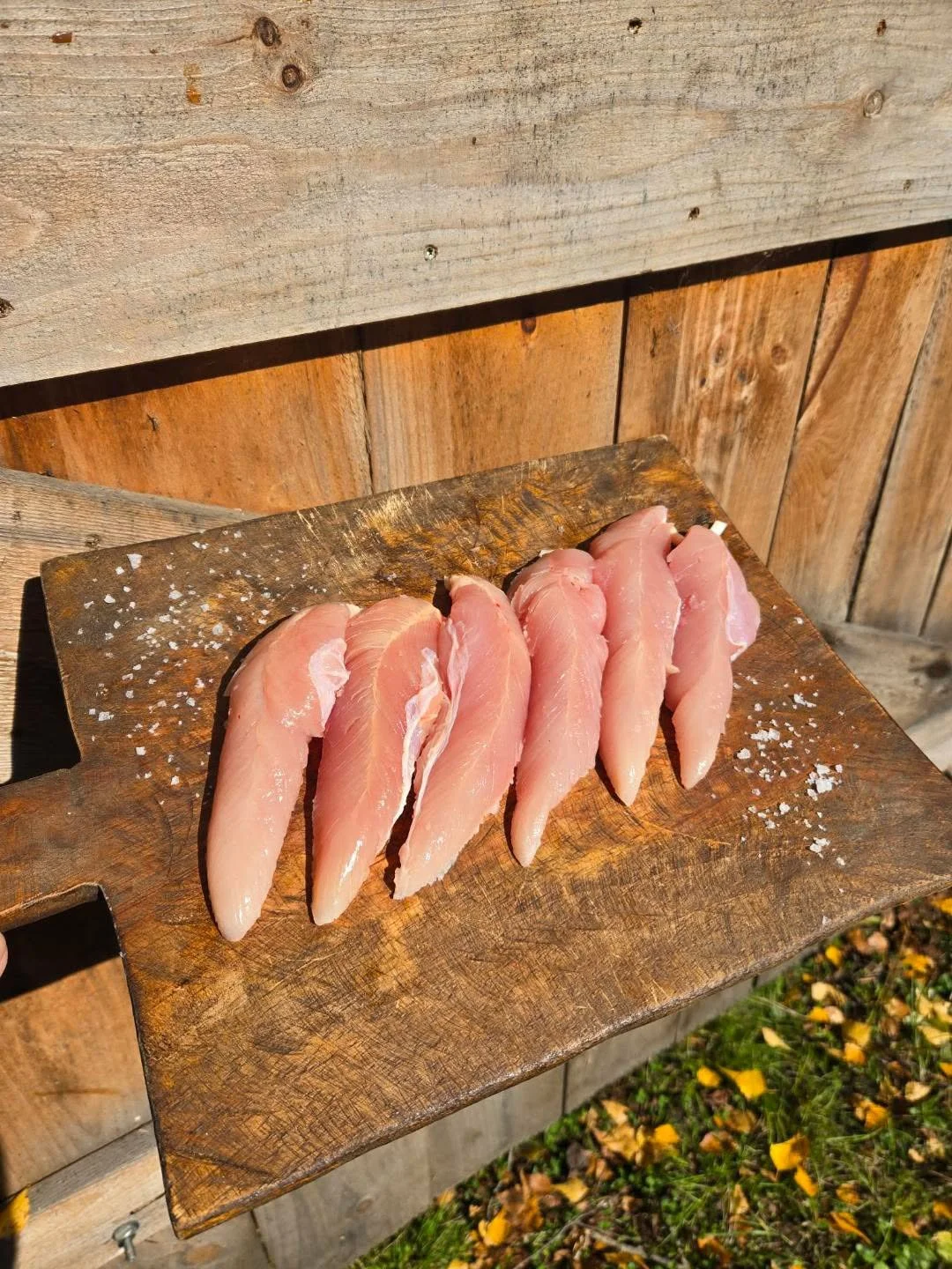 Chicken Tenderloin