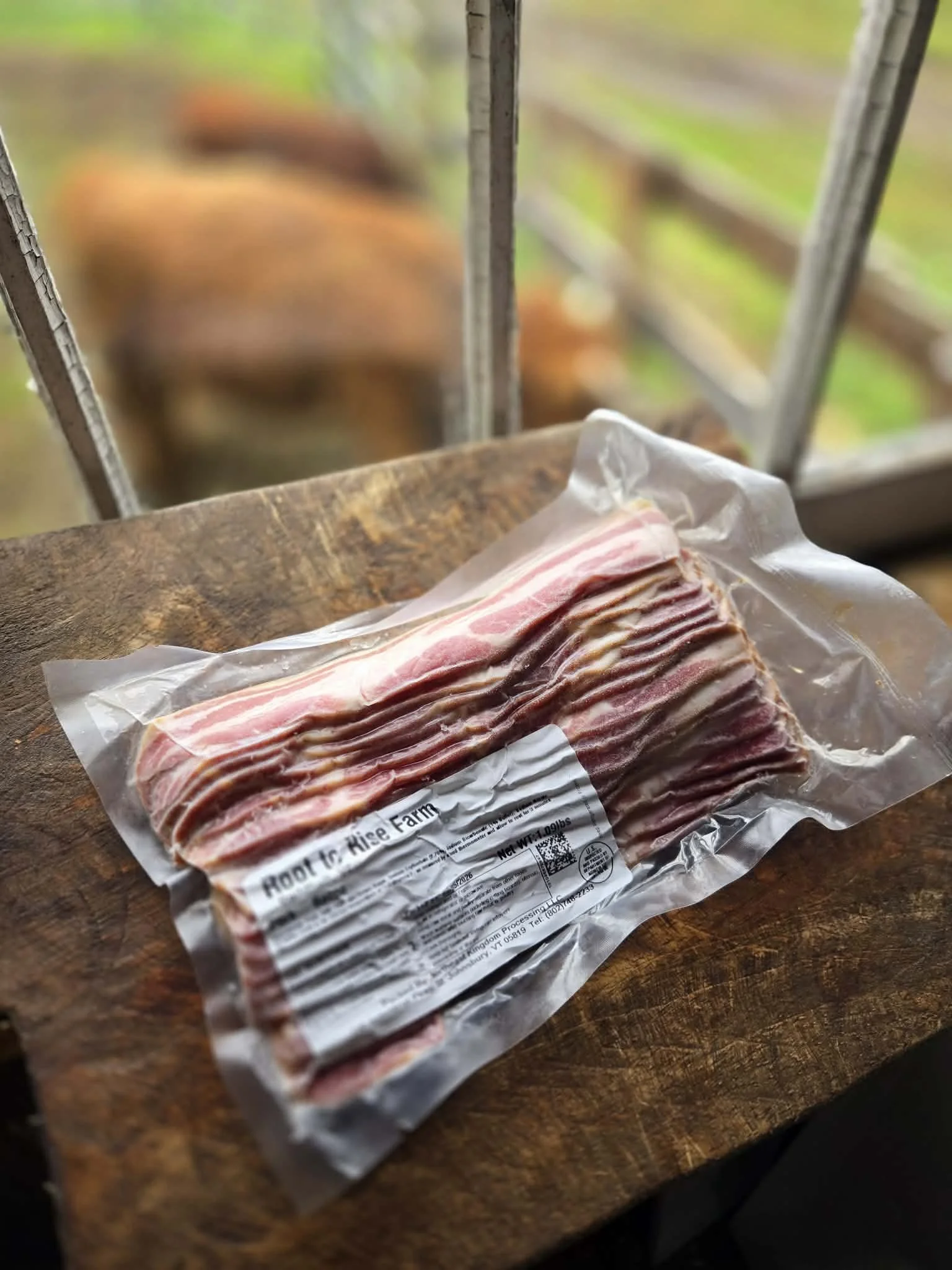 Bacon