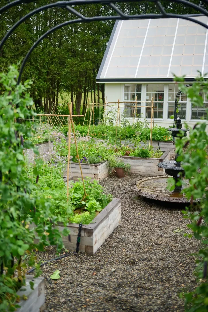 A lush garden with raised wooden beds filled with green plants, a gravel pathway, and a garden fountain. In the background, there is a white house with solar panels on the roof and surrounded by trees.
