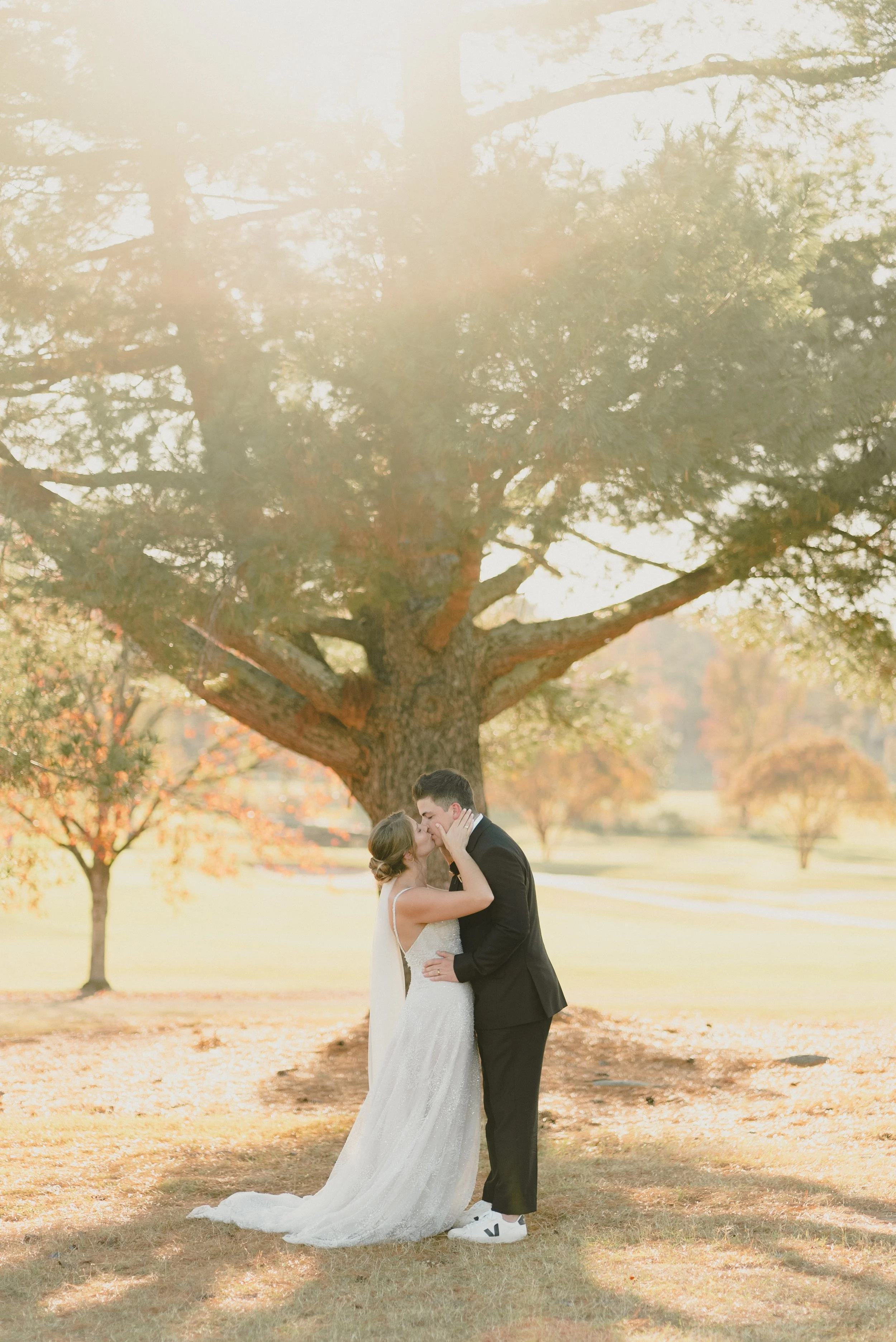 A bride and groom sharing a kiss outdoors under a large tree during sunset.