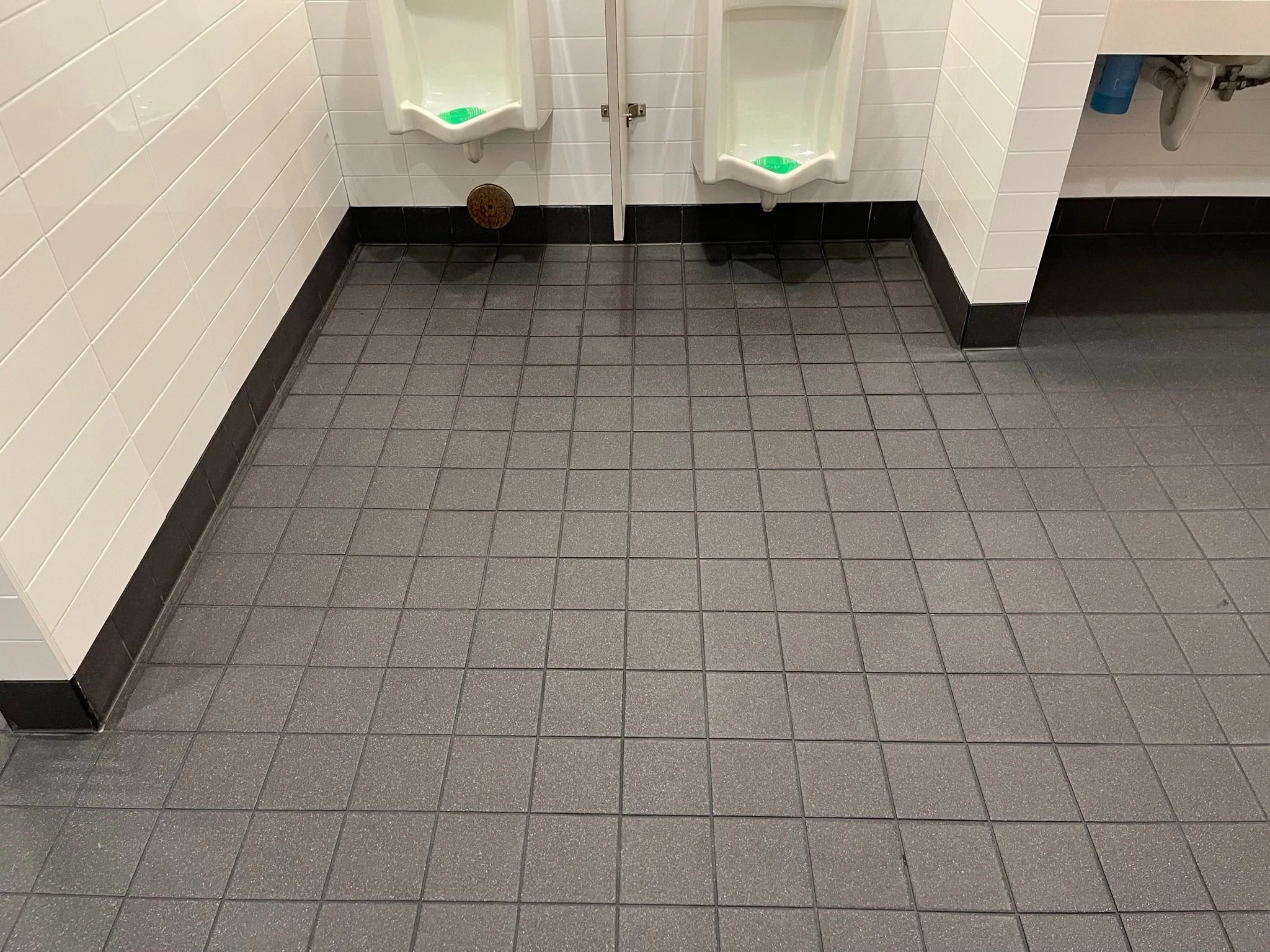 image5.jpg