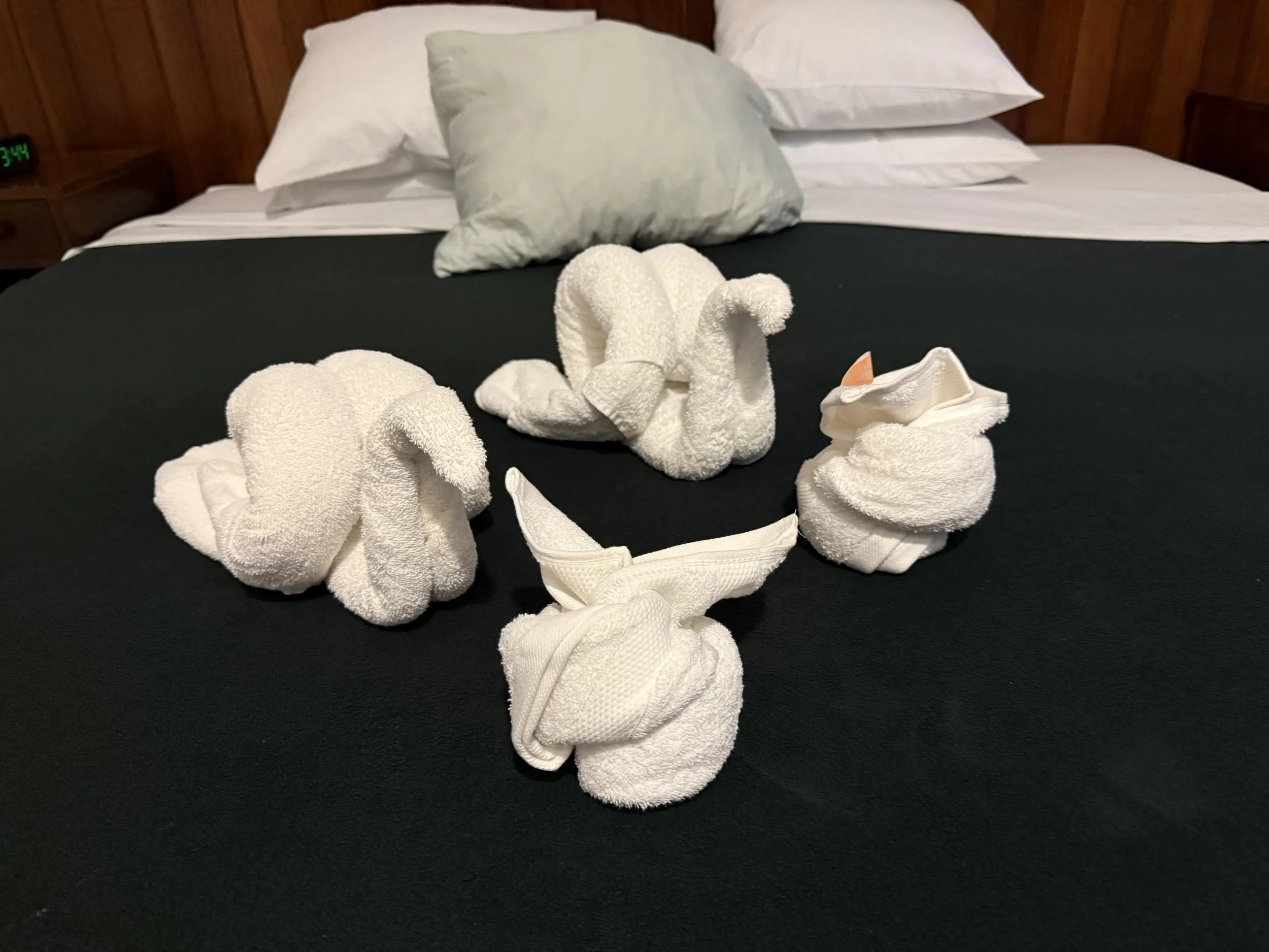 Towel origami!