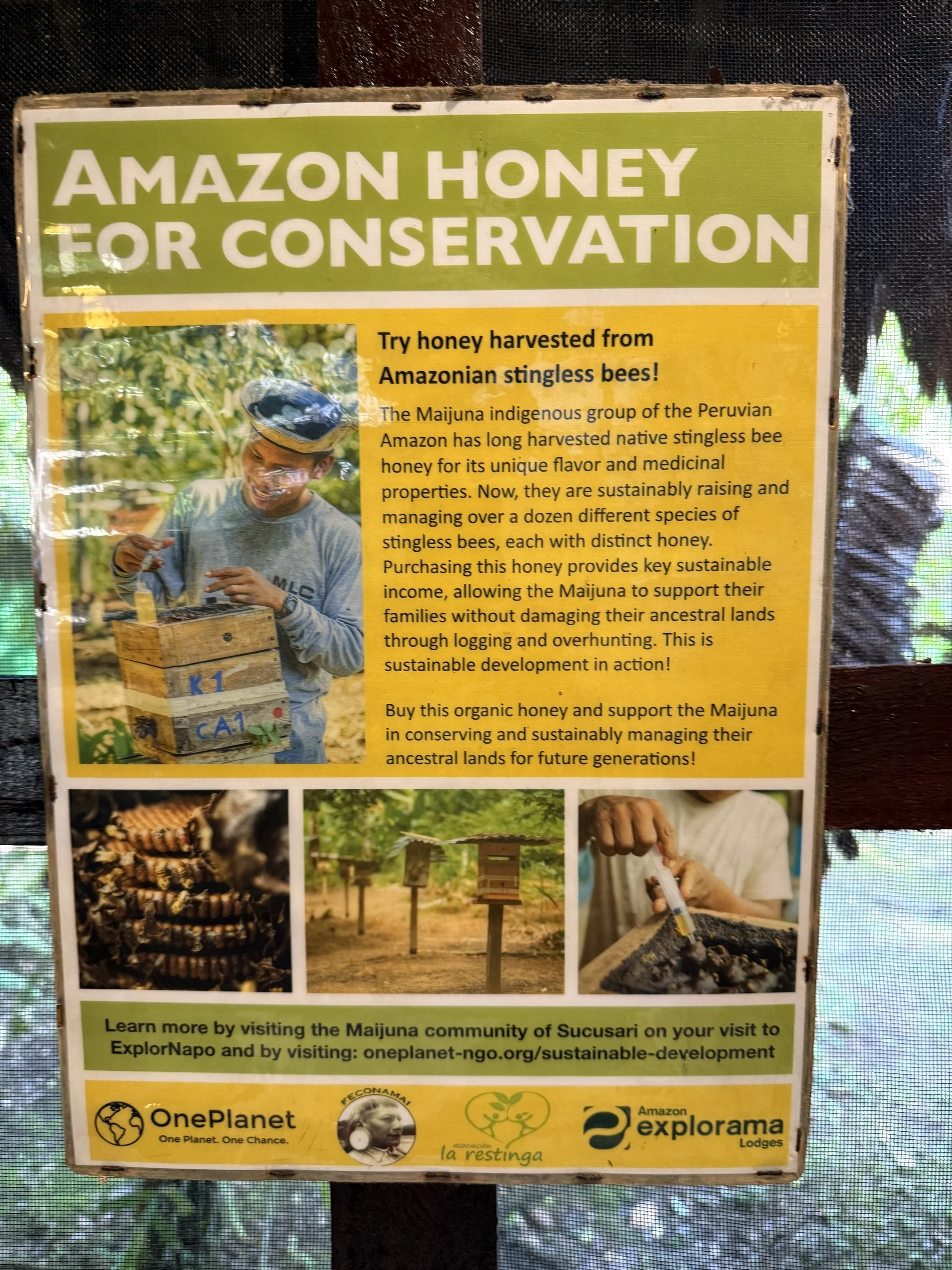 Amazon Honey Conservation