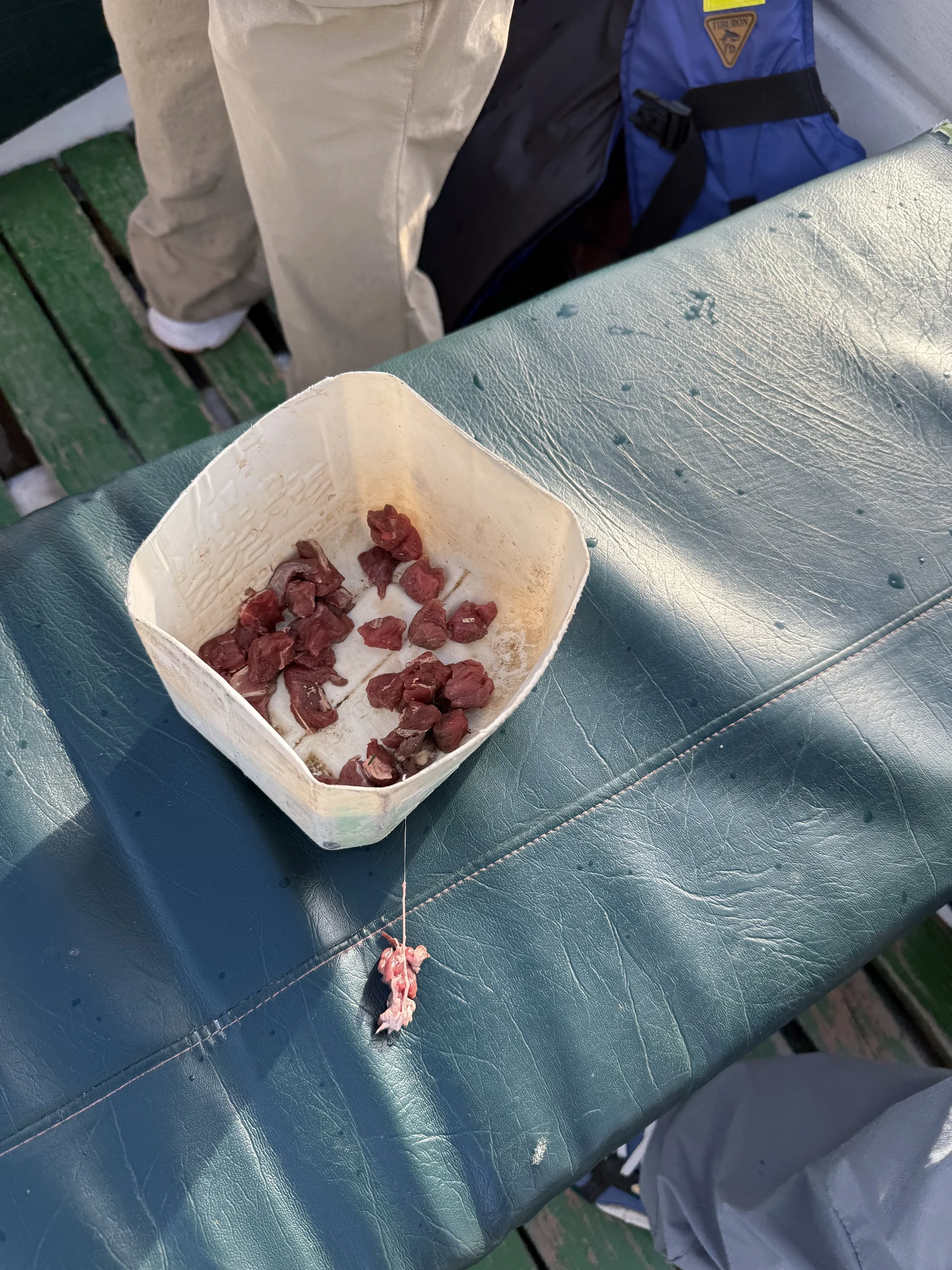 Beef bits to fish with