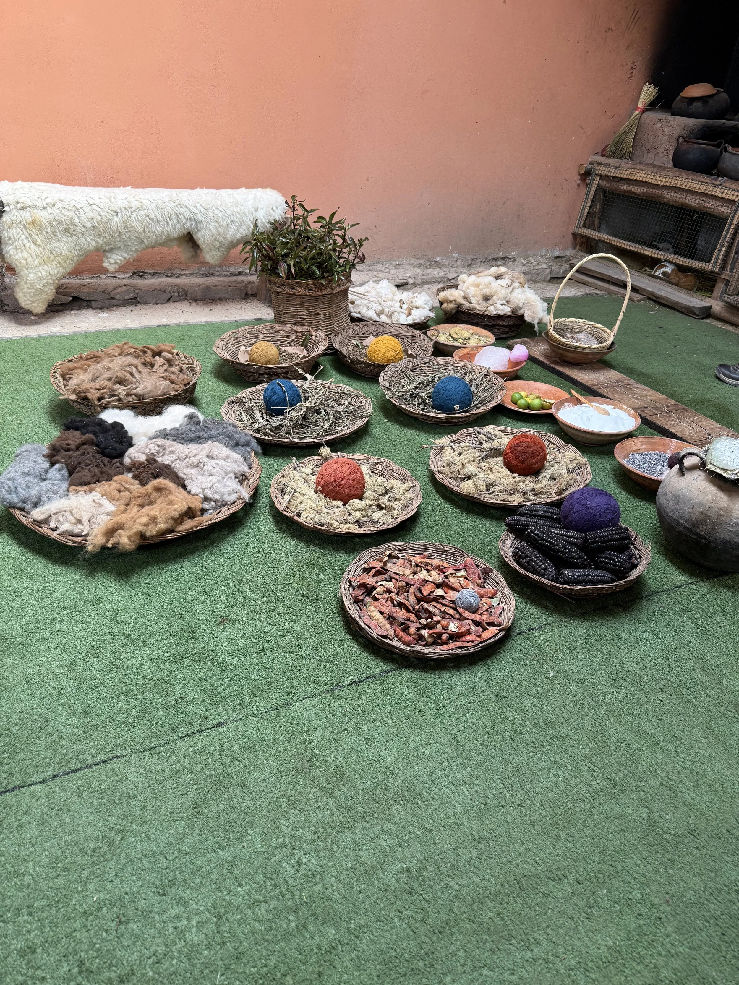 Items needed to color the alpaca hair