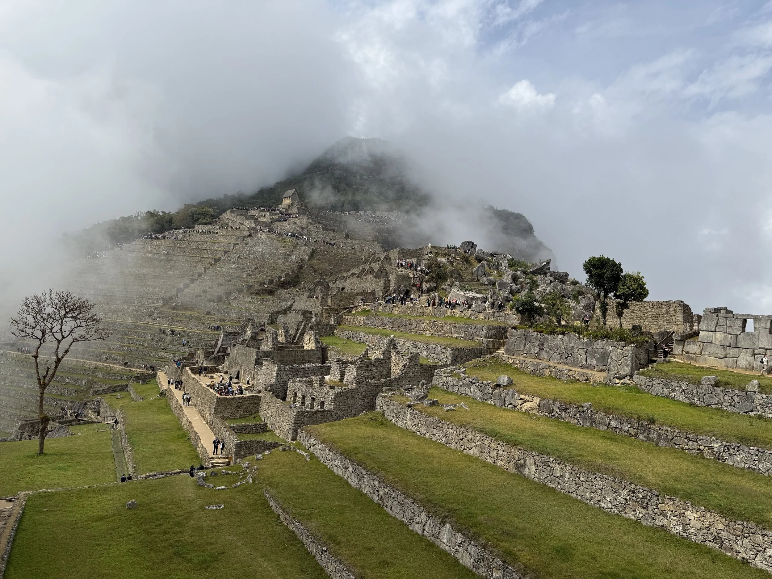 View of terraces