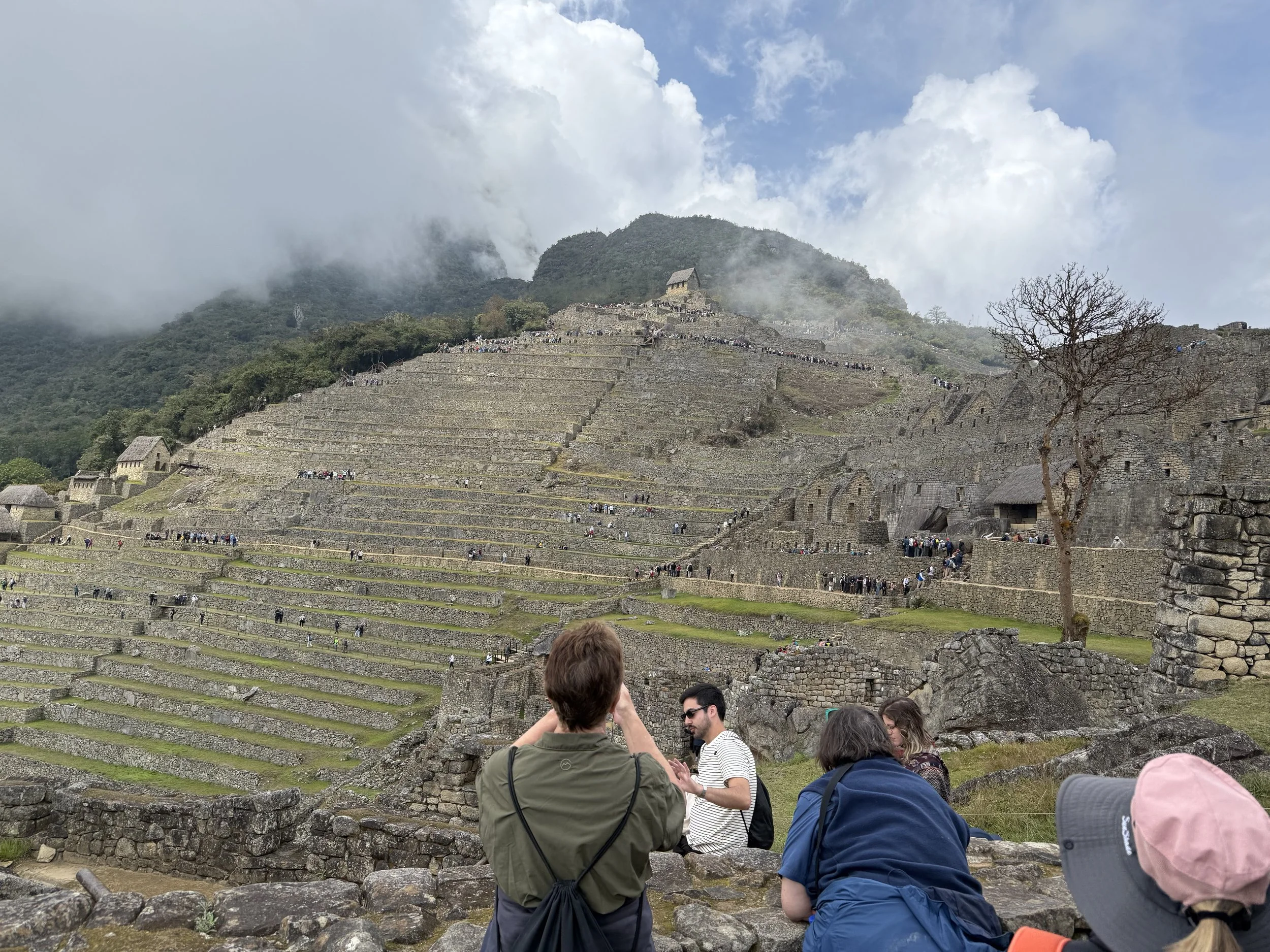 Terraces for farming