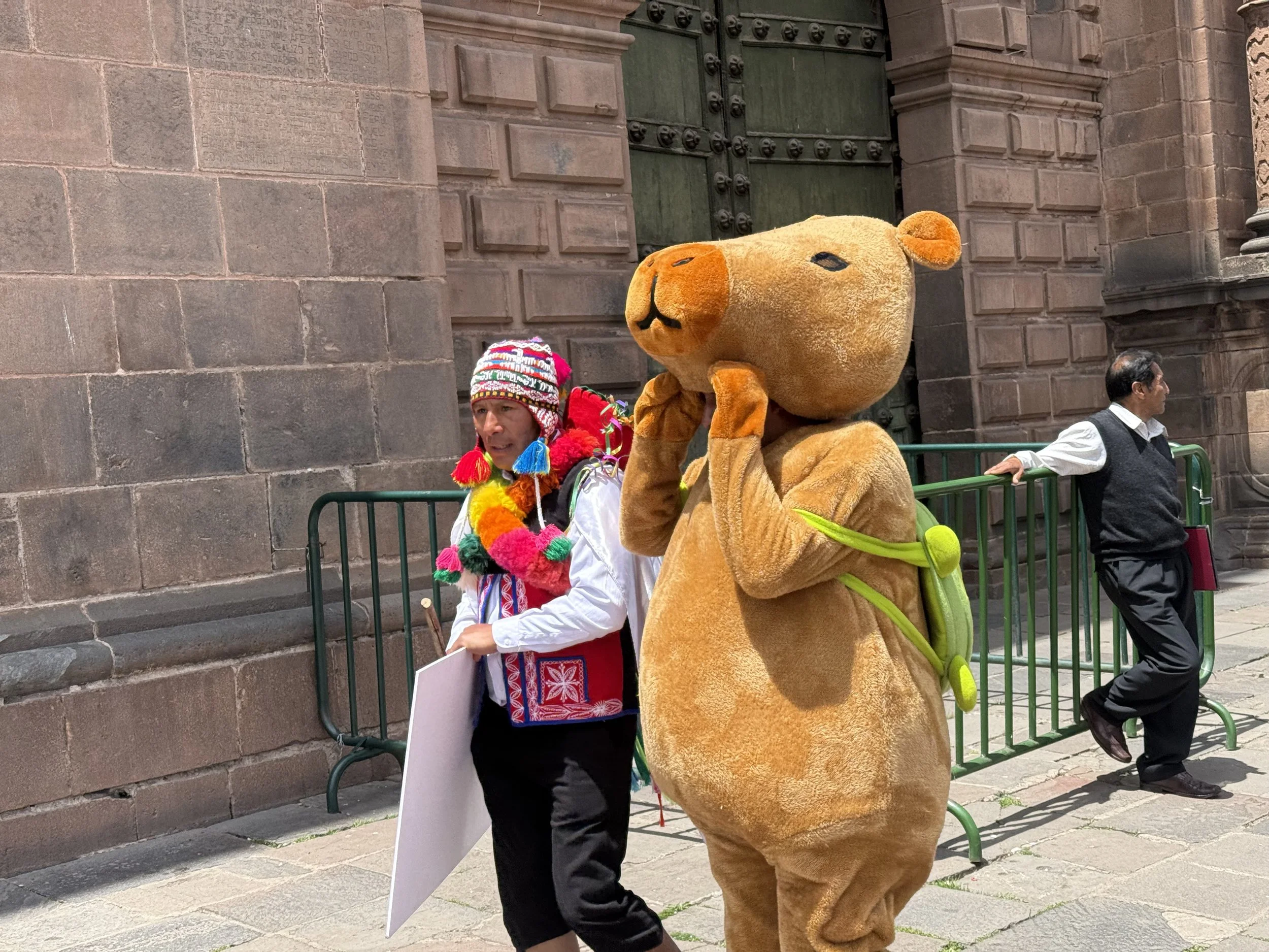 Cuy from Celebration