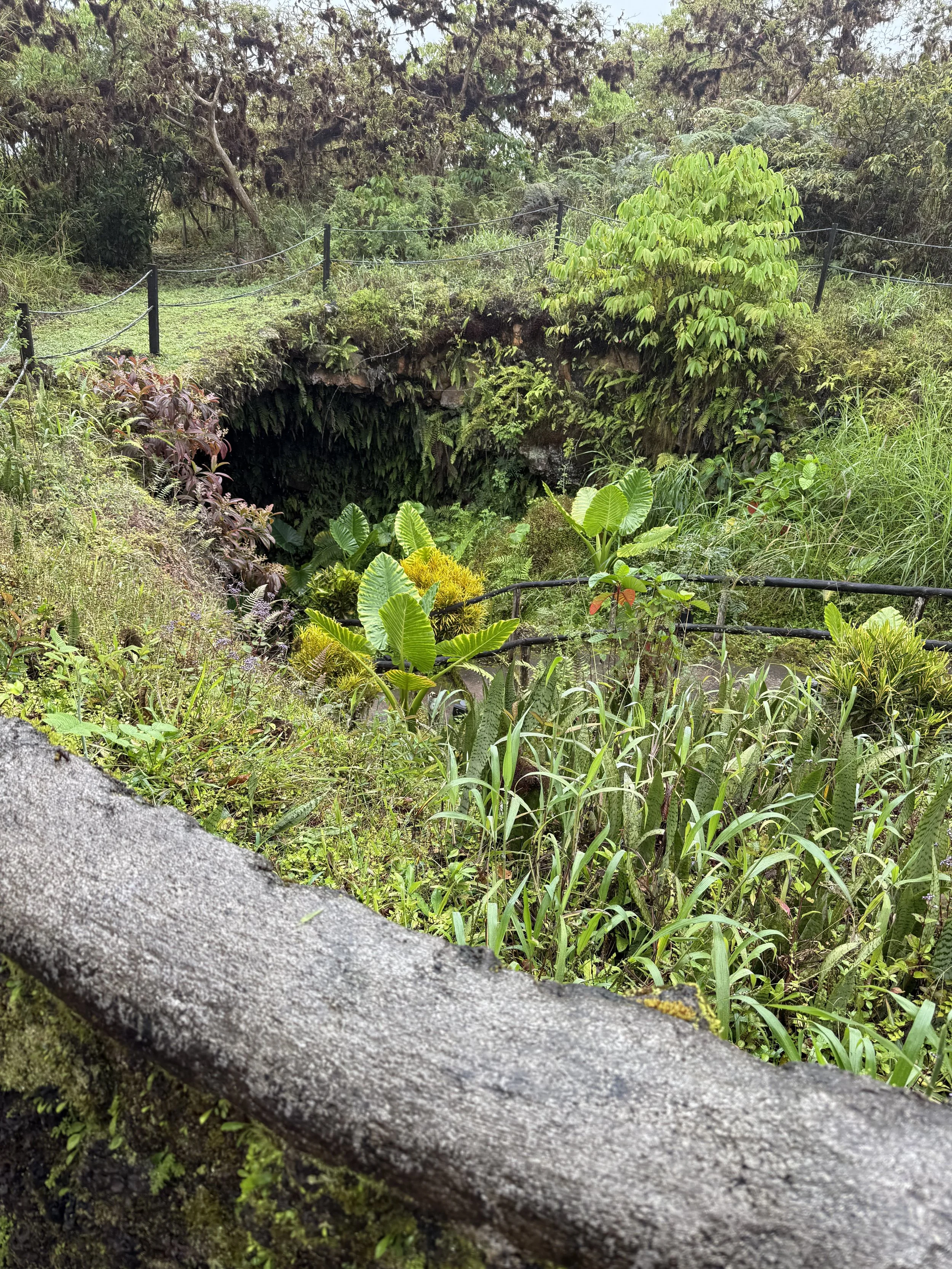 Entrance to Lava Tube