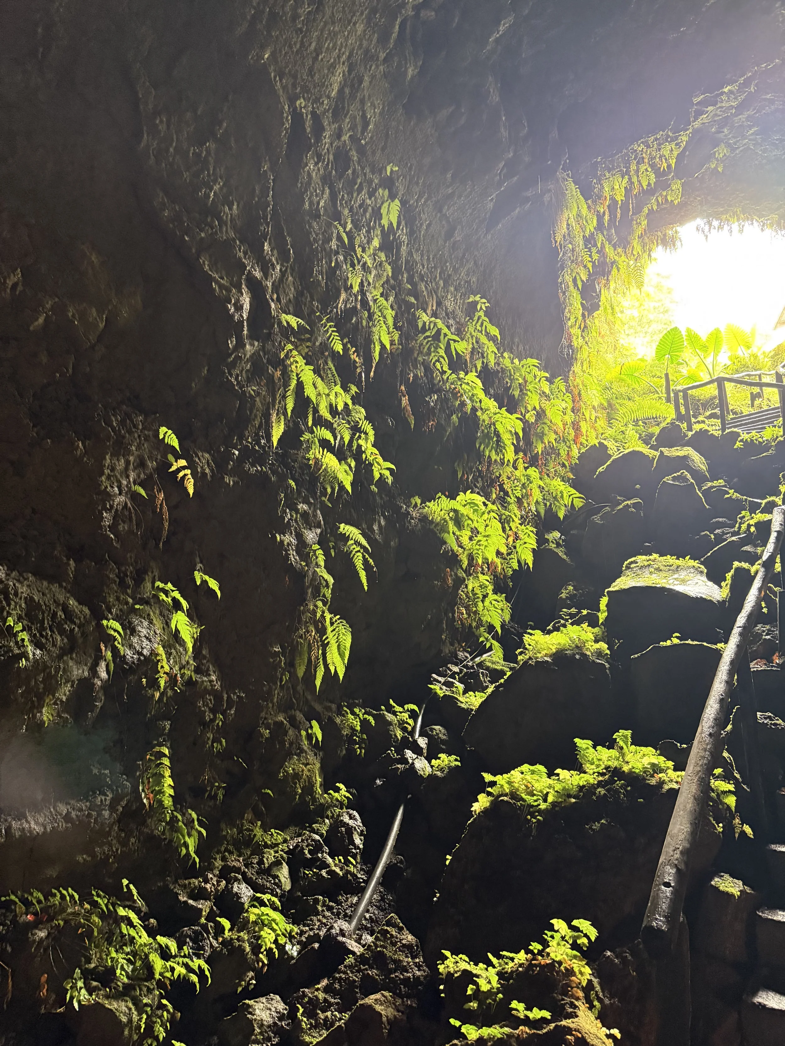 Looking back at entrance