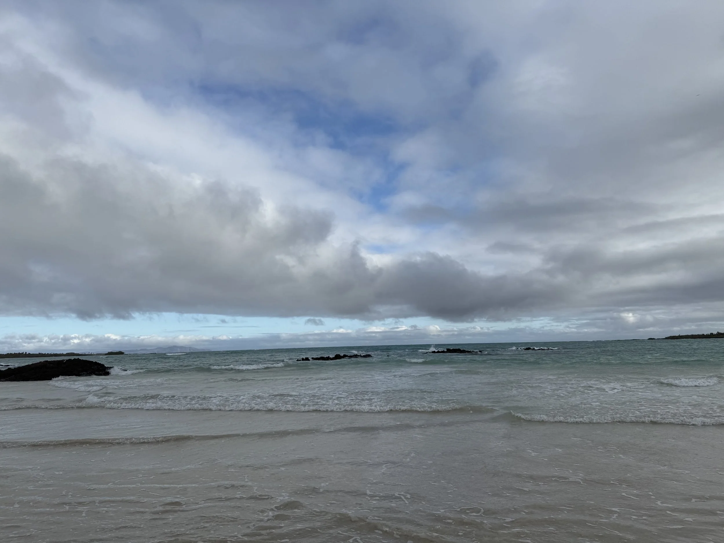 Looking out from the beach