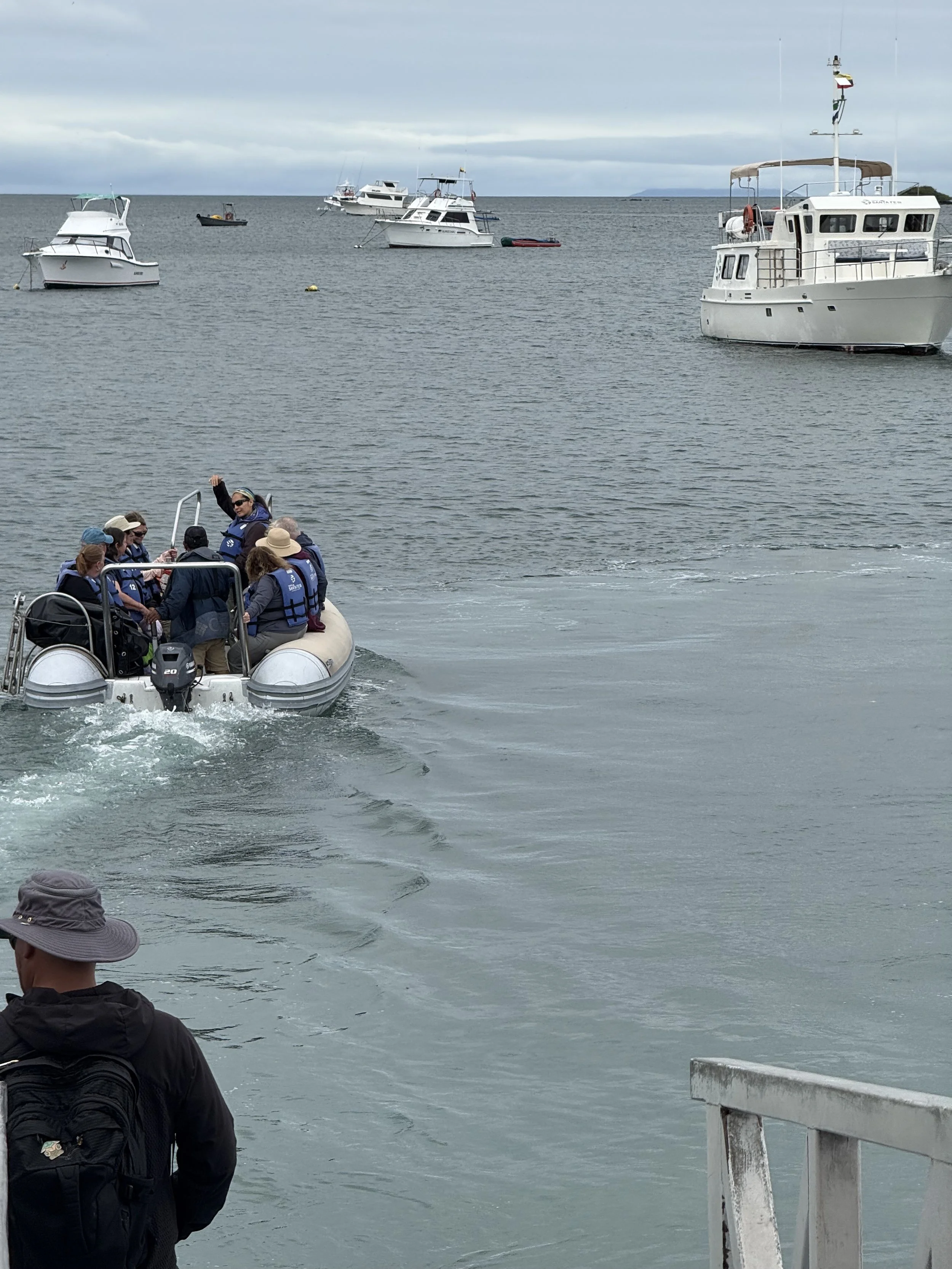 Zodiac Ride to the Santa Fe