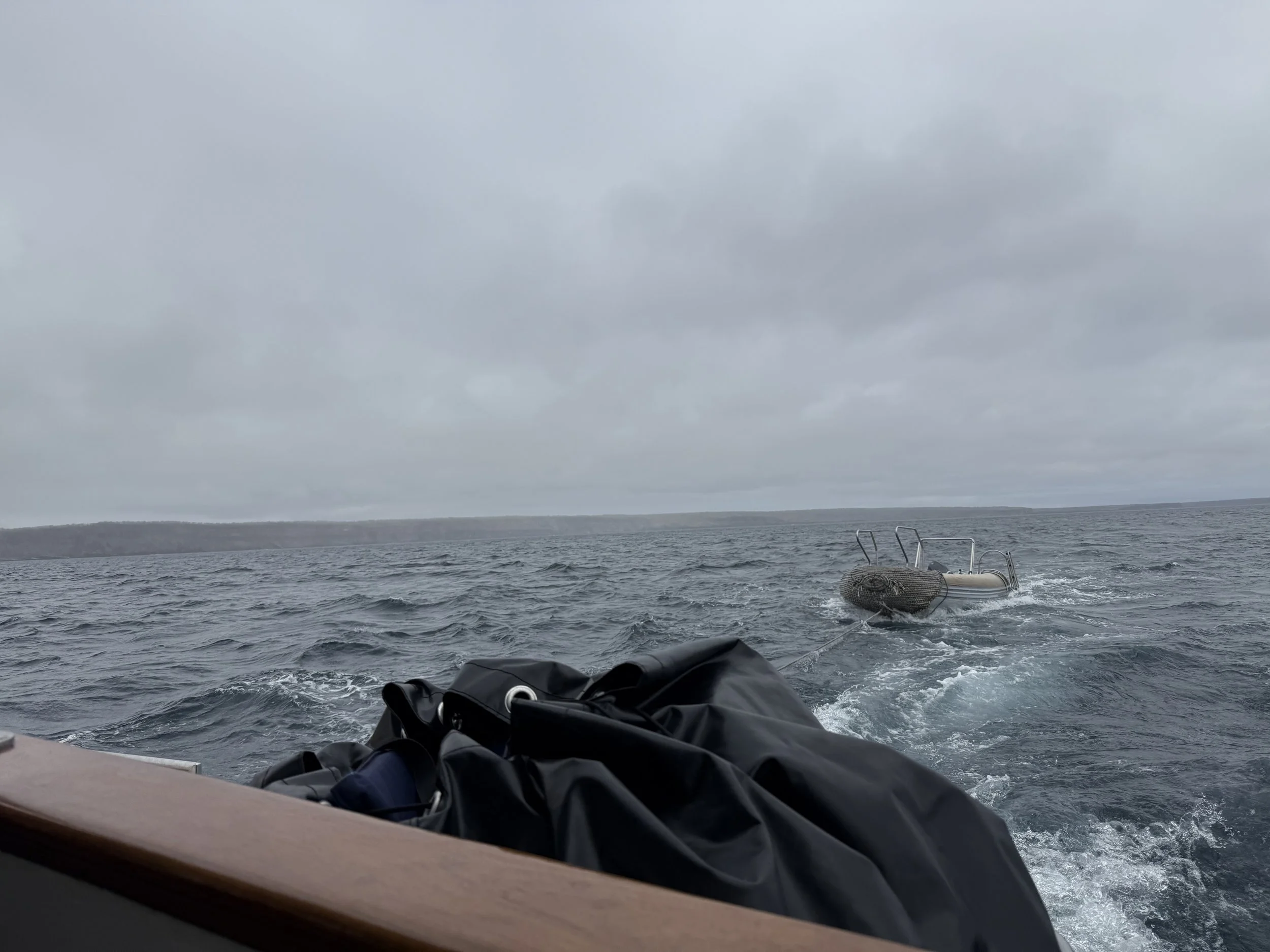 Today we took the zodiac with us.