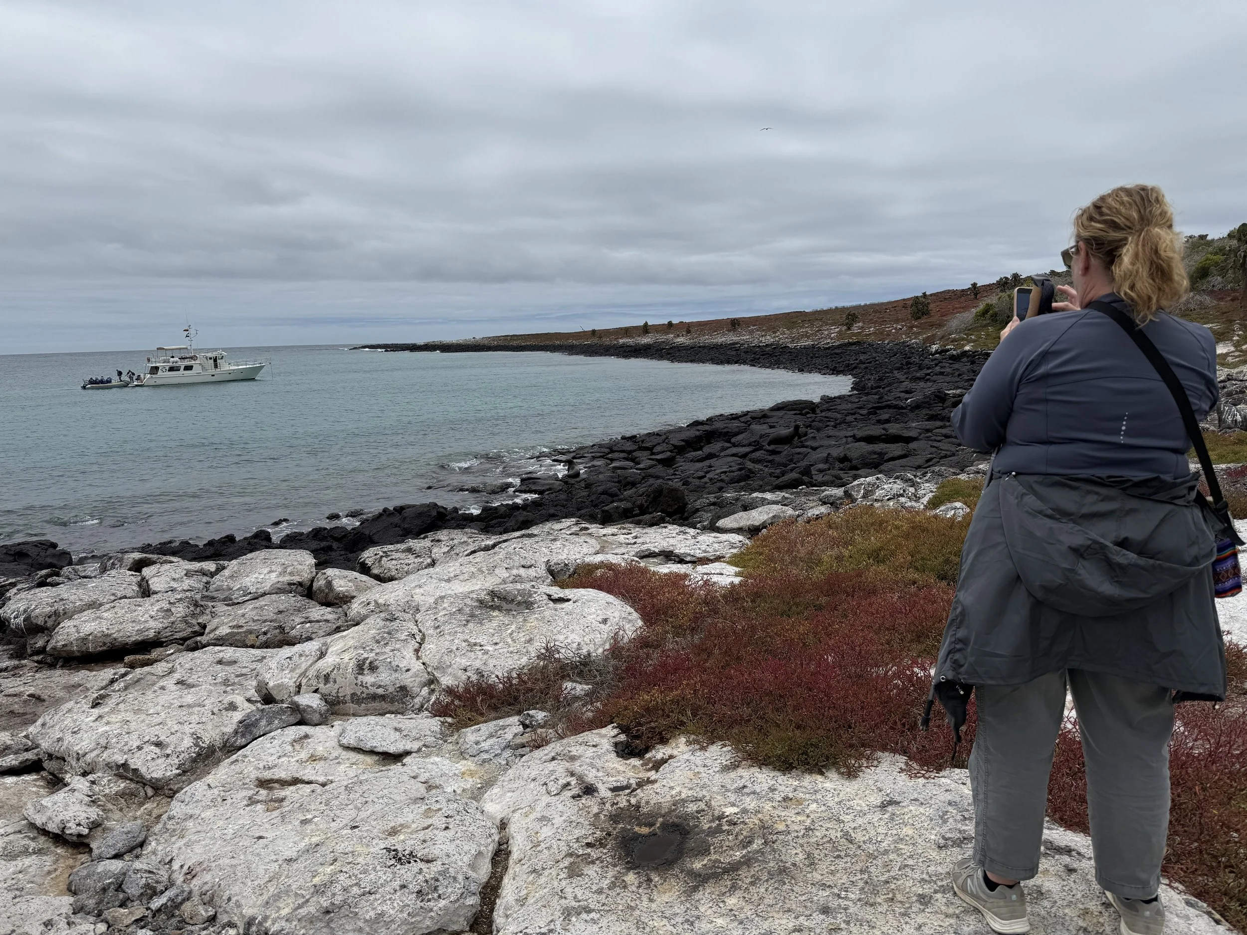 A view from the shore of South Plaza