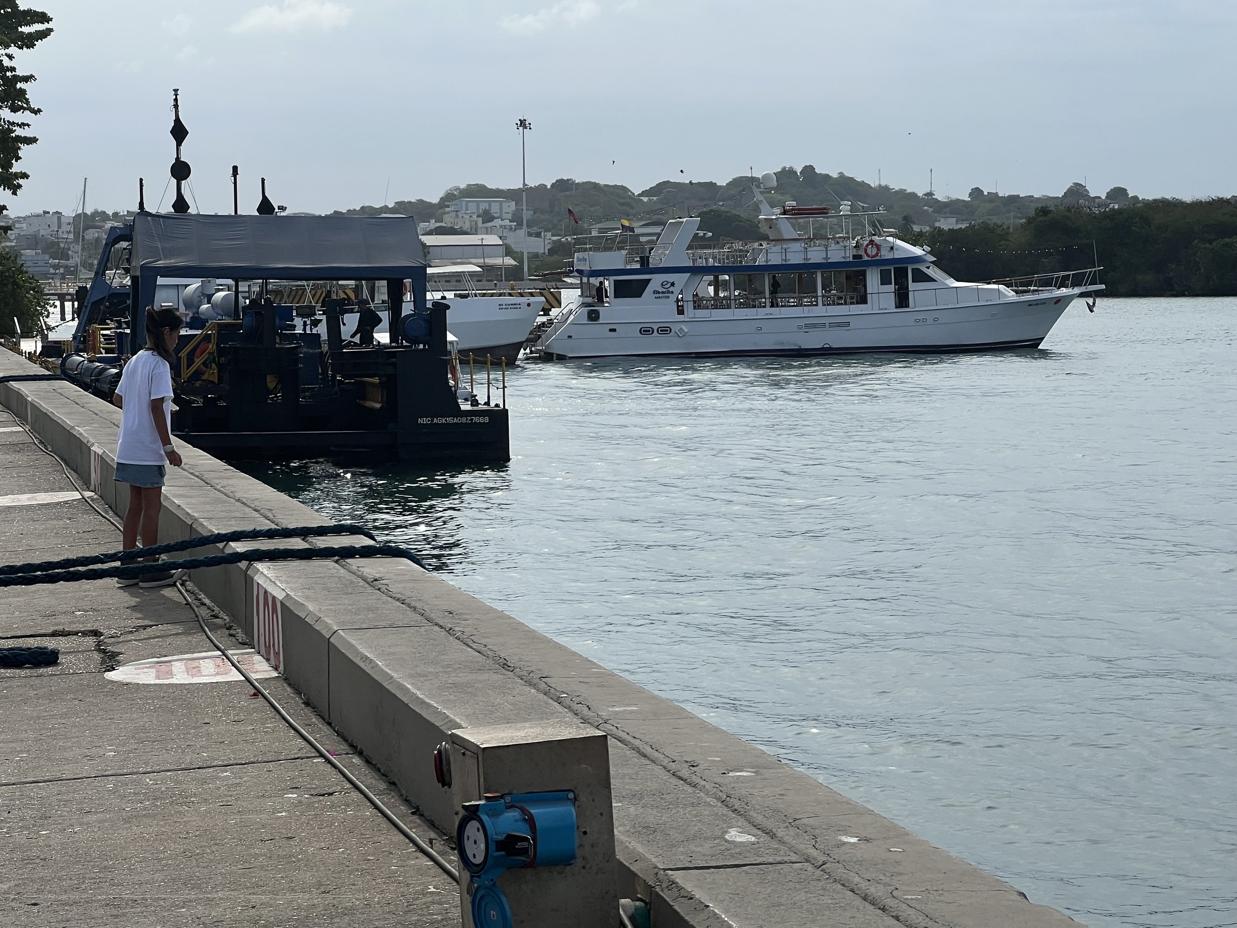 Our Transportation into the city