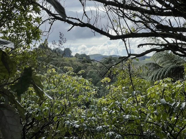 View of Valley