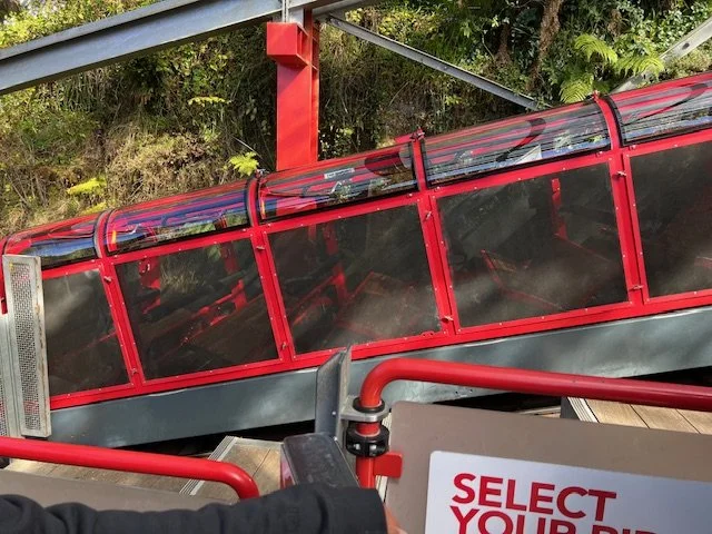 Scenic Railway