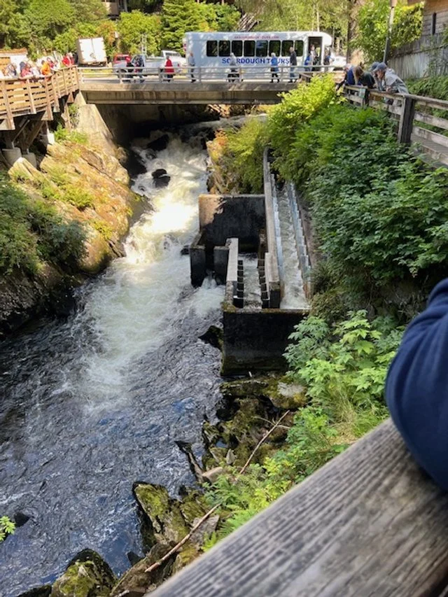 Salmon ladder on right.