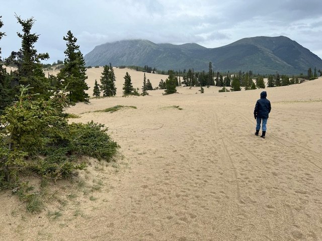 Carcross Desert
