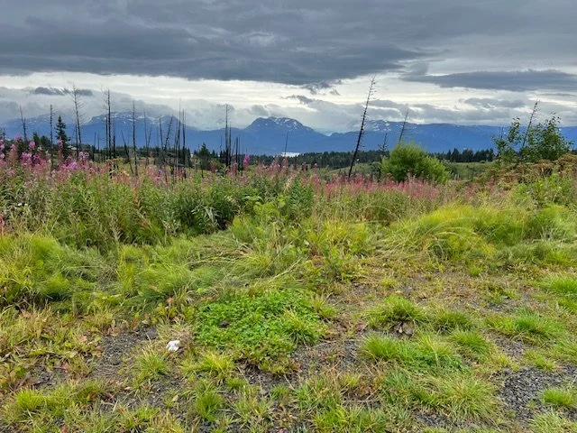 Kachemak Bay
