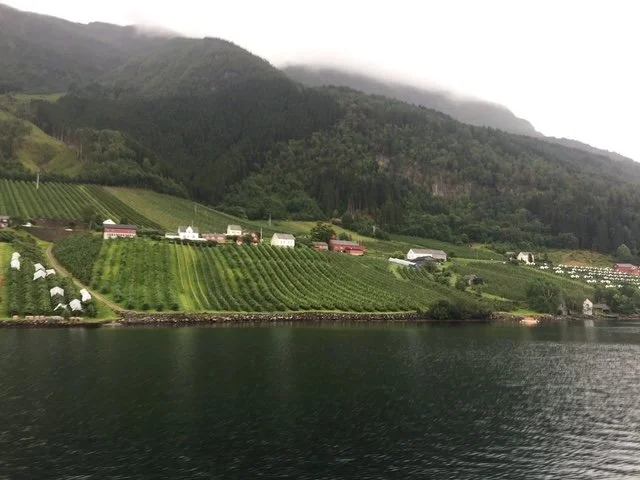 shoreline view from Ferry