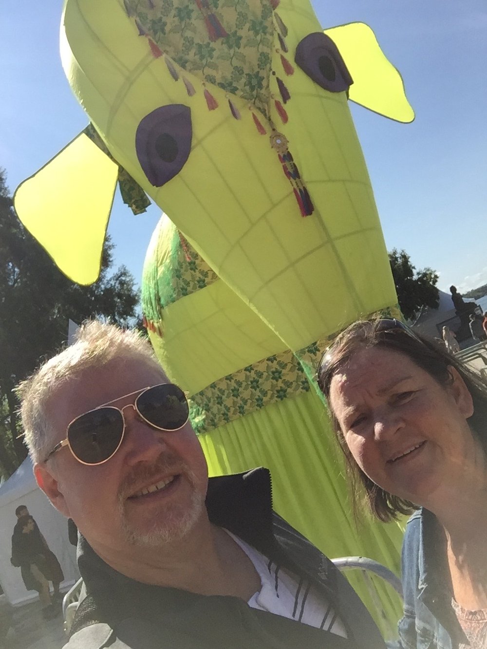 Interesting elephant in park