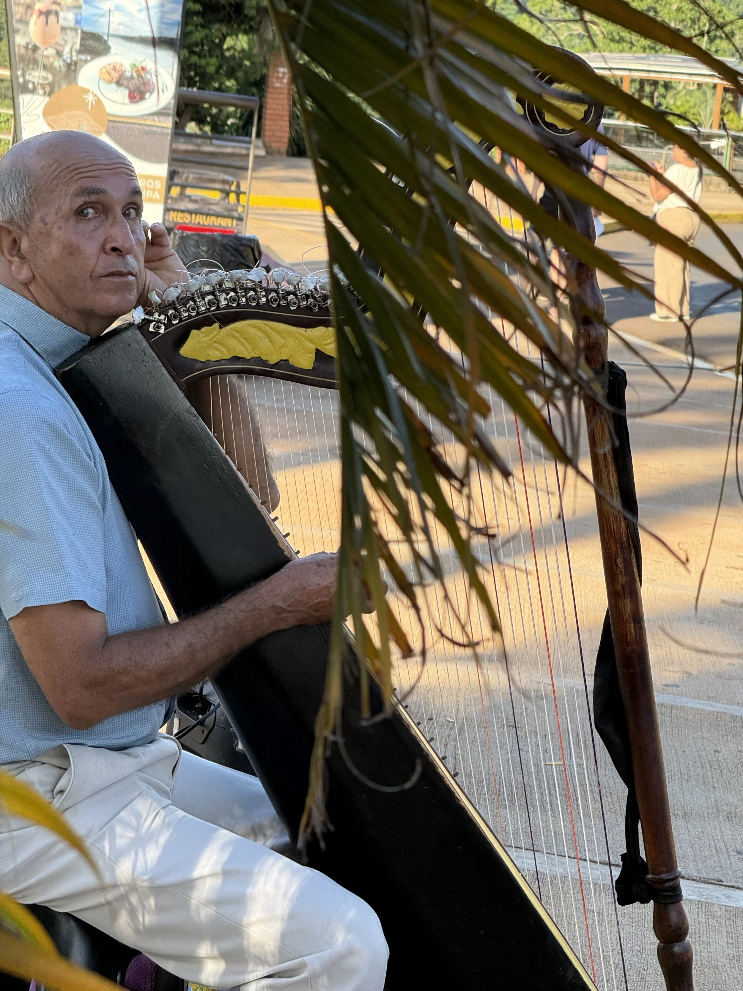 Harp player on the street.