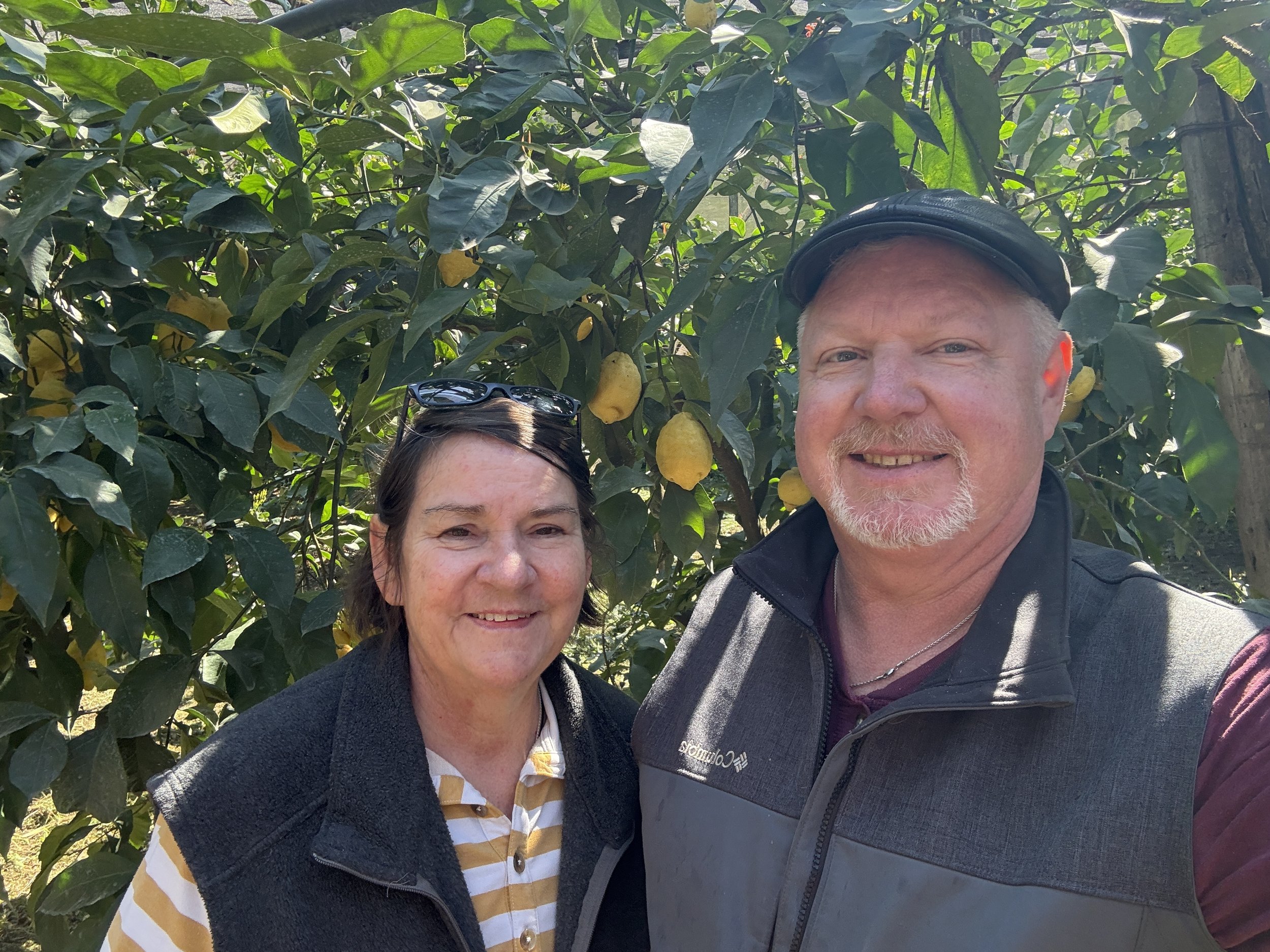 Sorrento &amp; Lemon Farm
