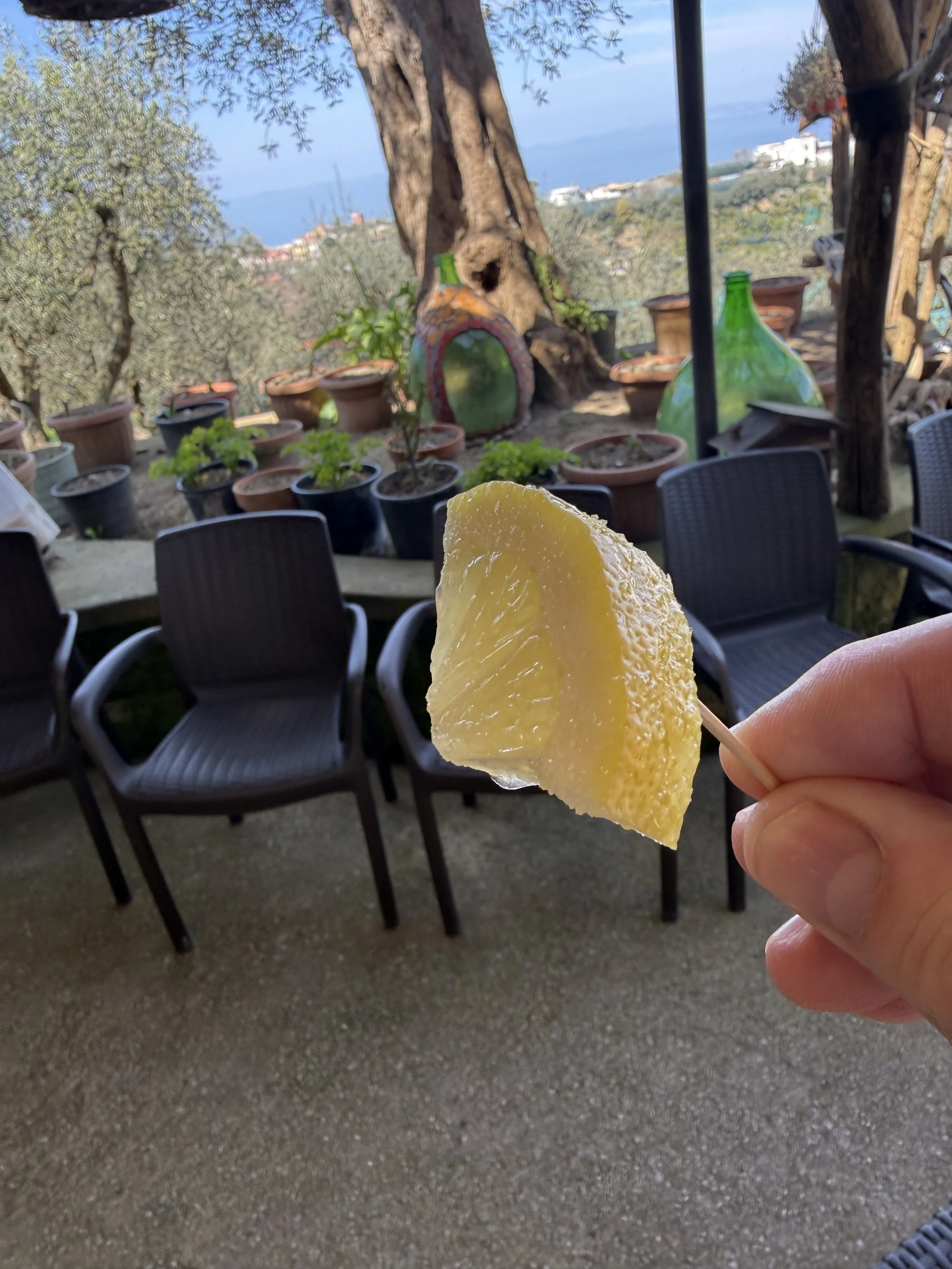 close up view of lemon wedge treat.