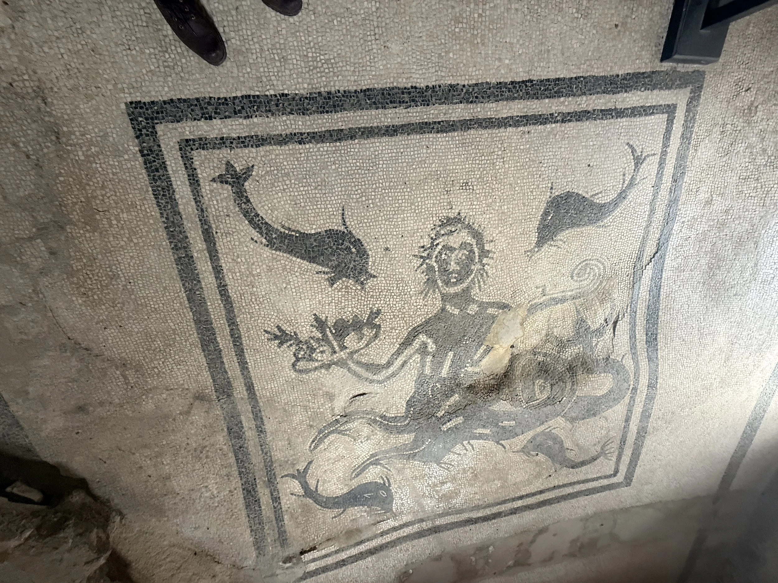 Floor mosaic in one of the buildings