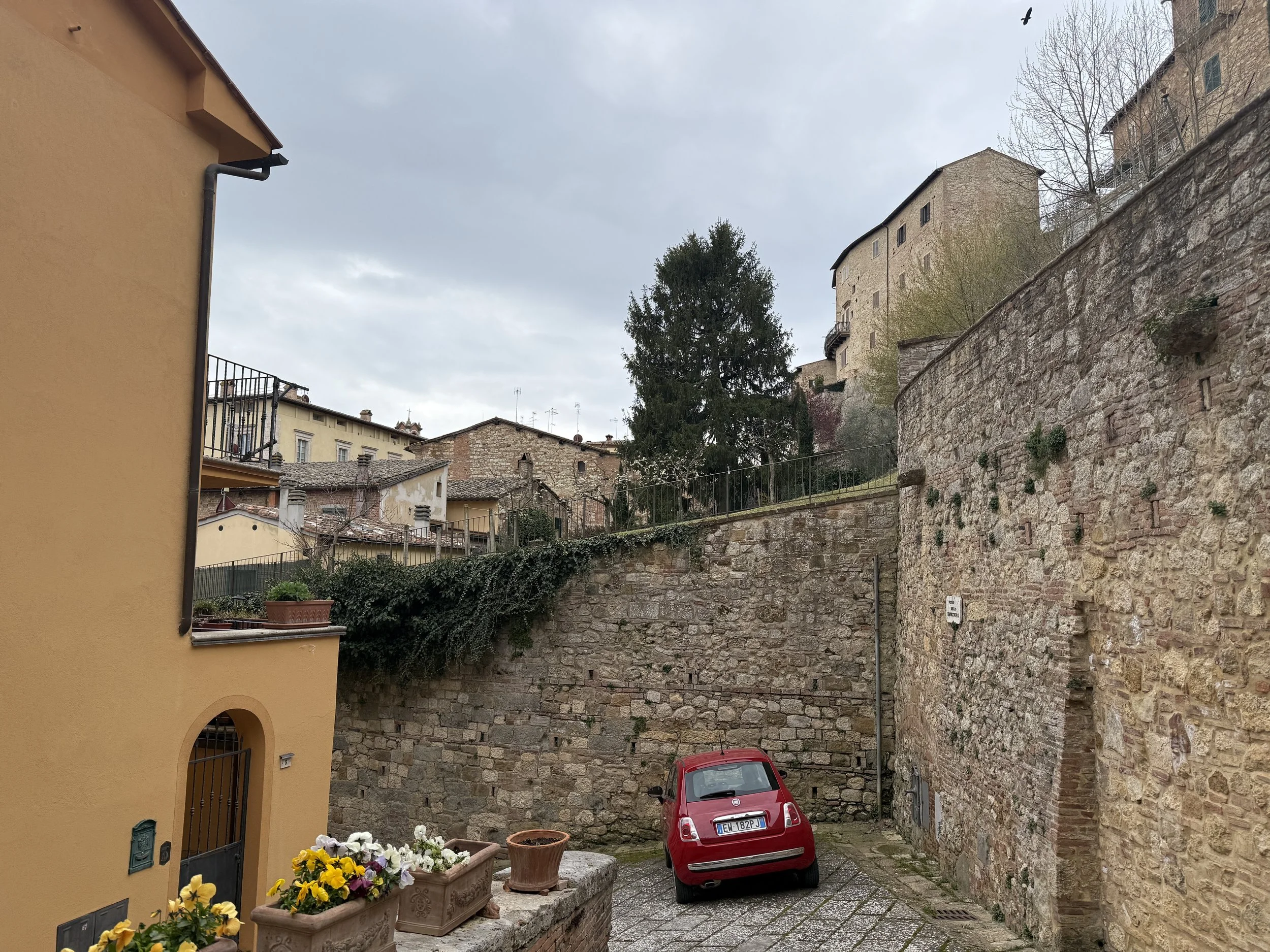 IMG_0260.jpeg