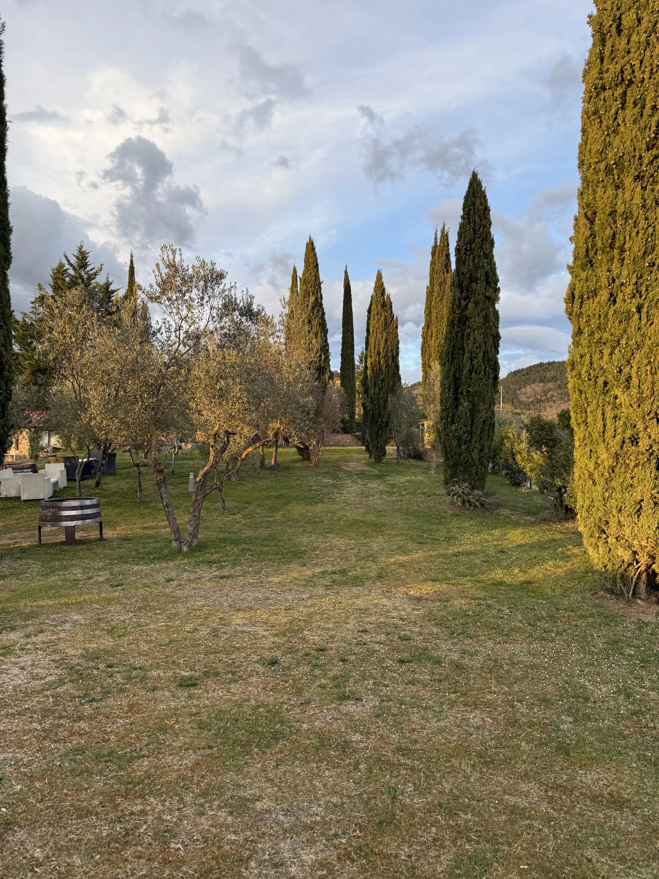 Lawn area next to villa