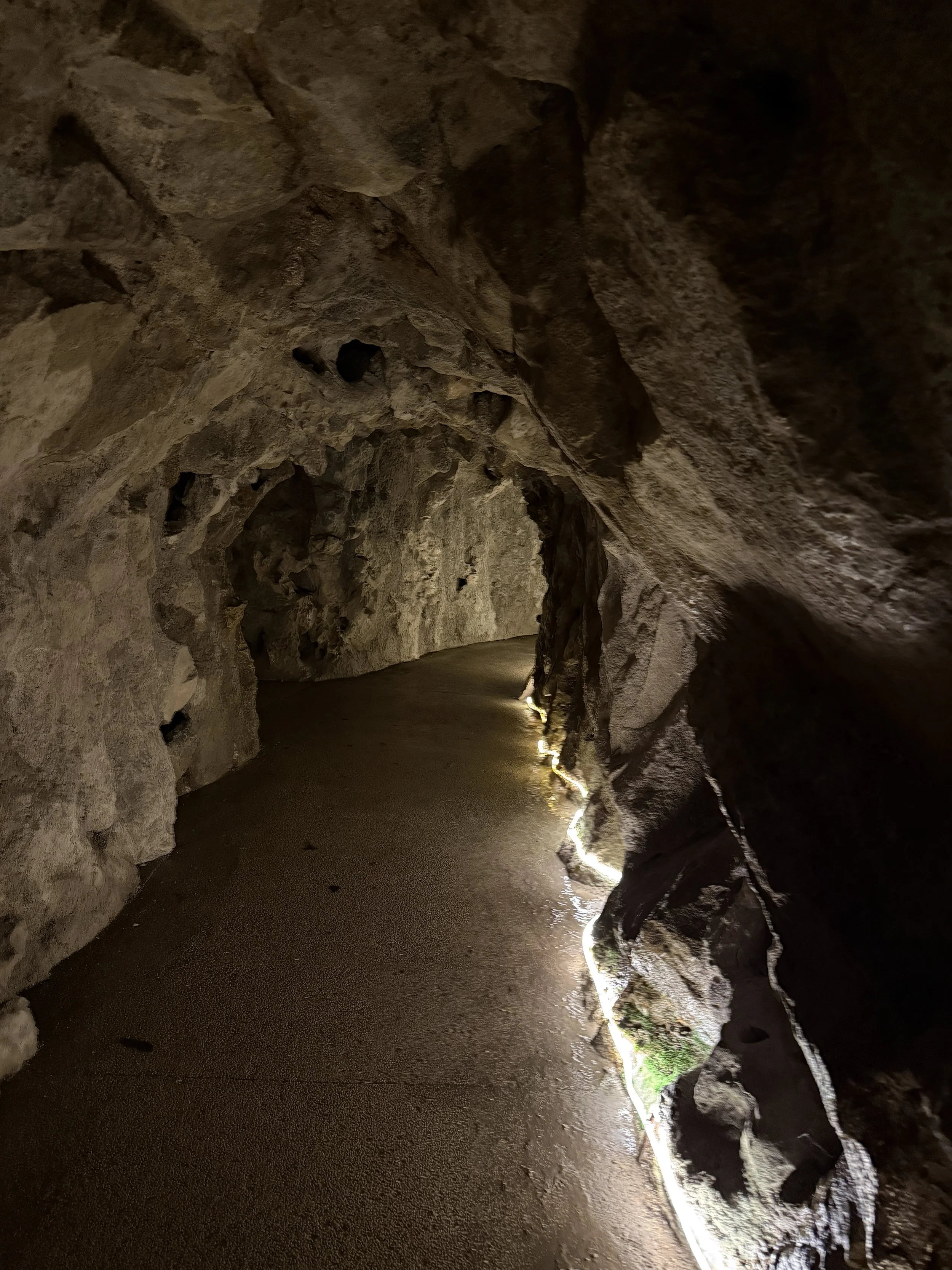 Tunnel out (birthing canal)