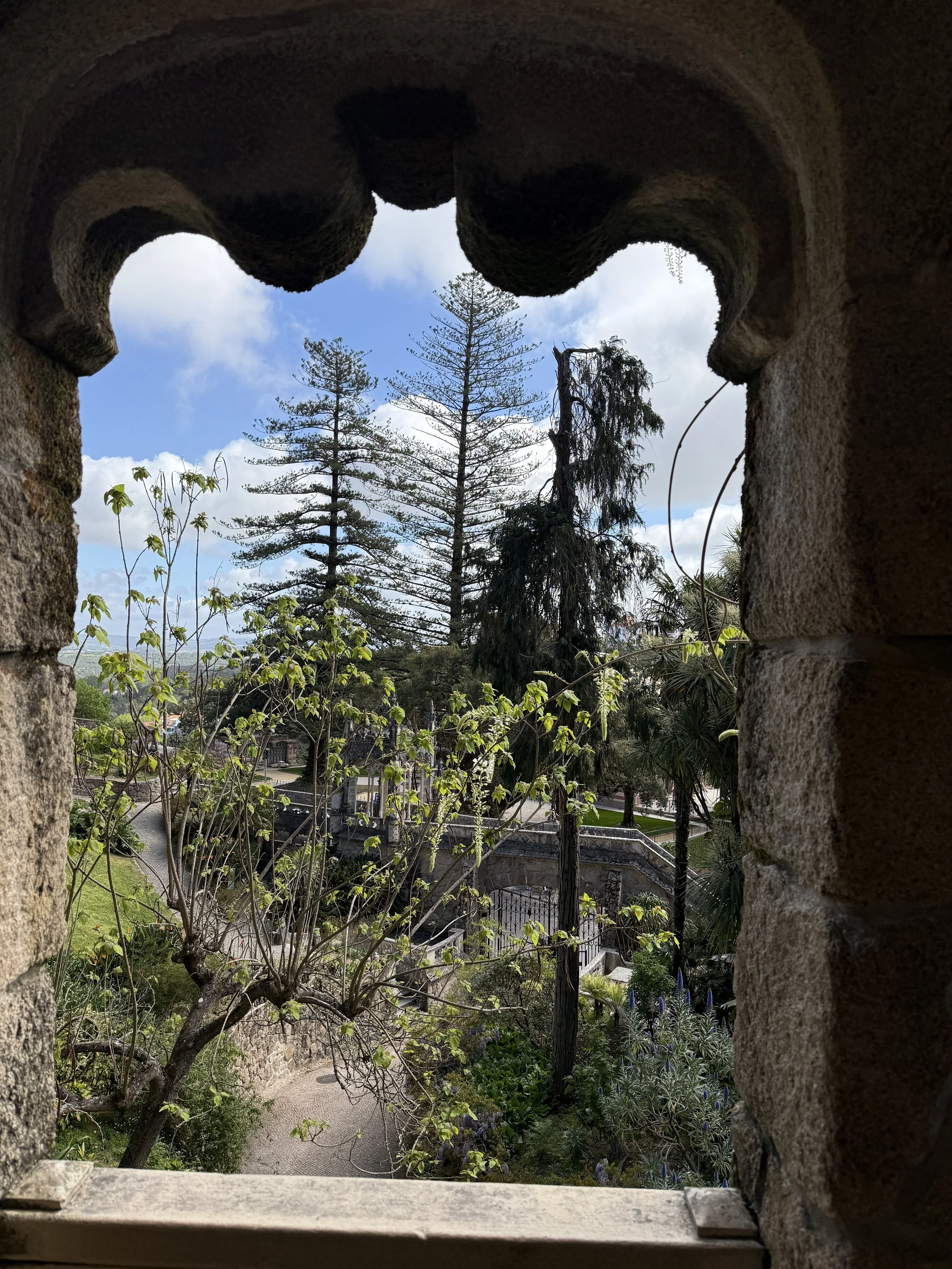 IMG_0926.jpeg