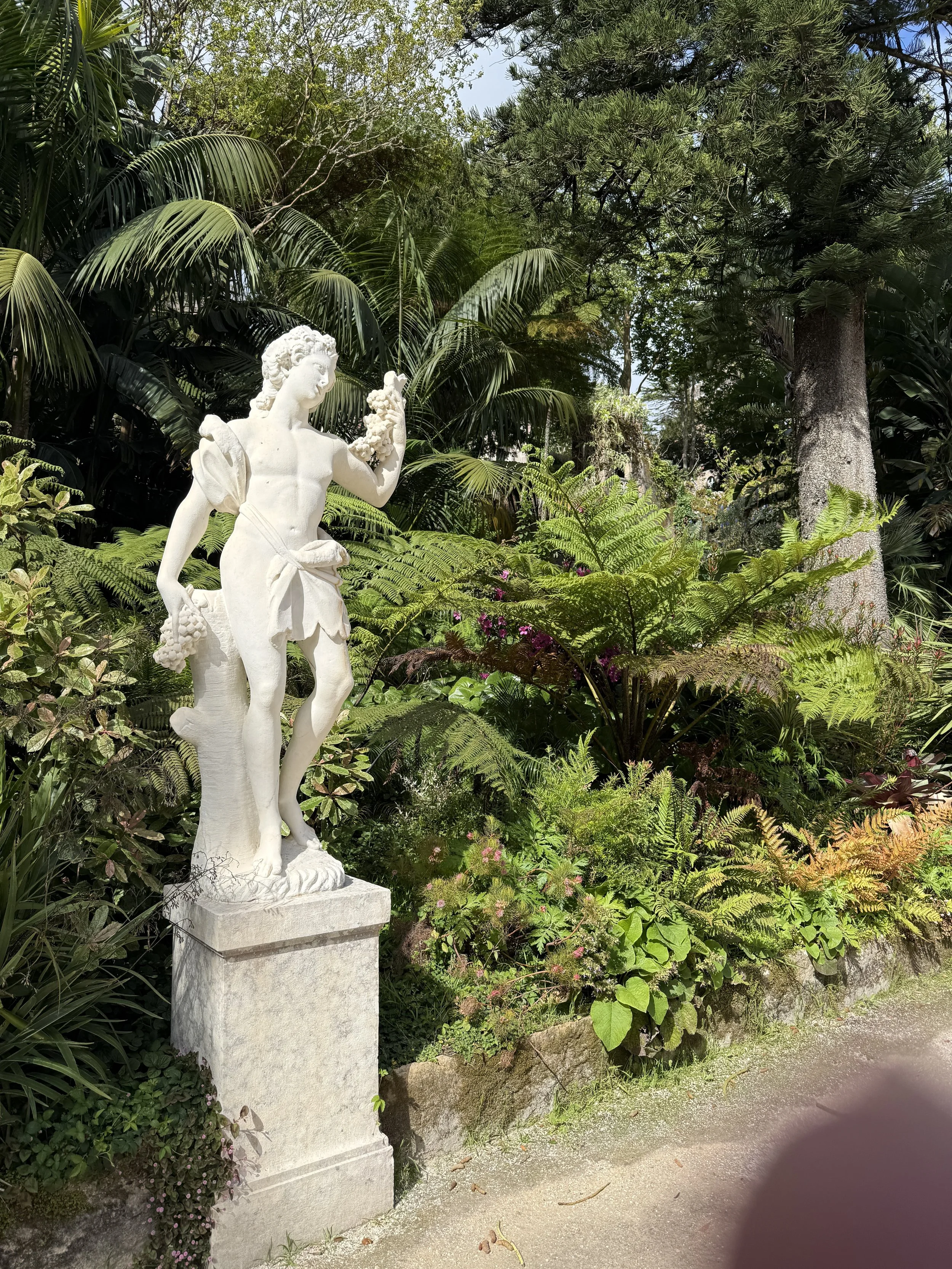 IMG_0929.jpeg