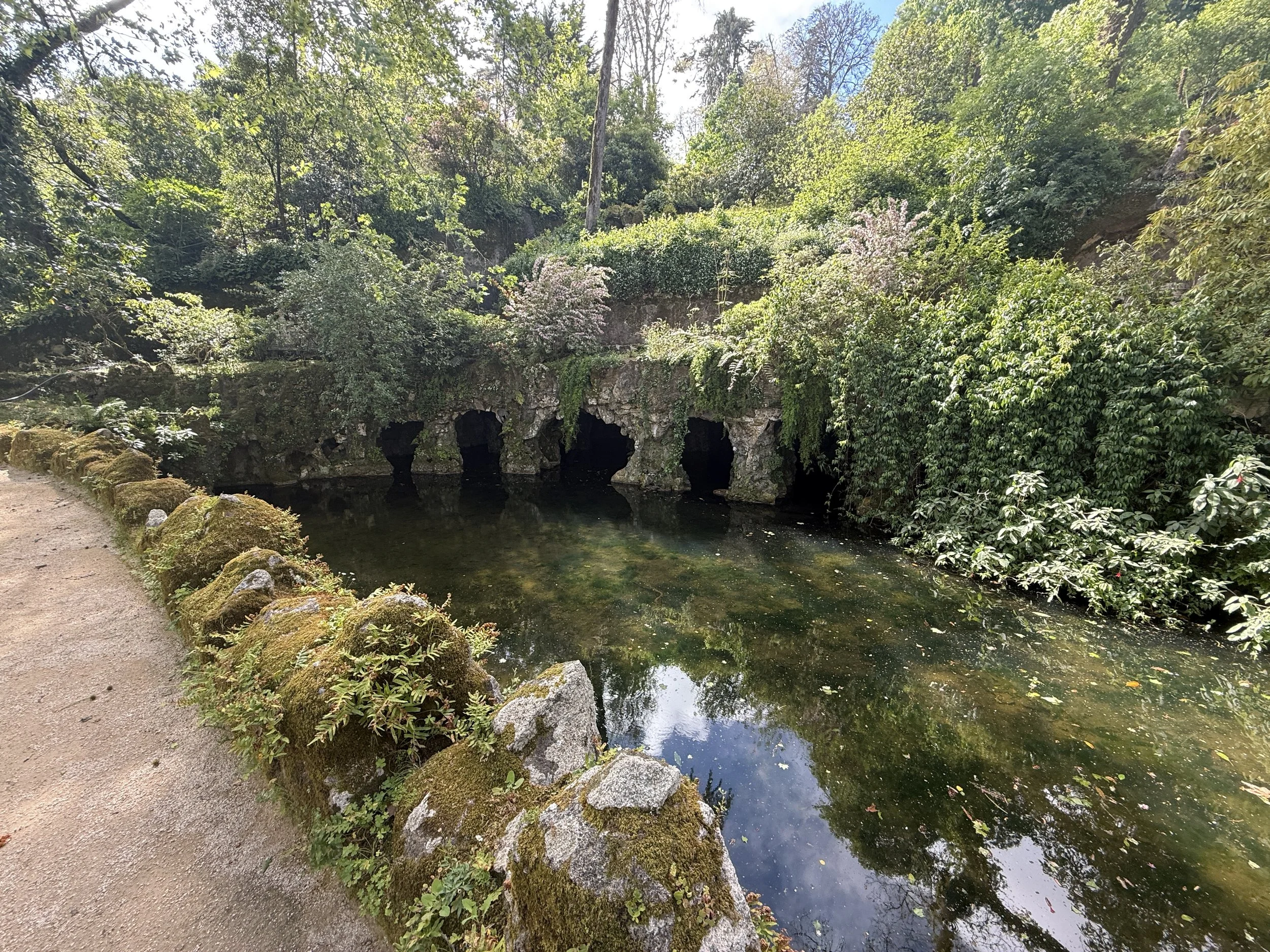 IMG_0934.jpeg