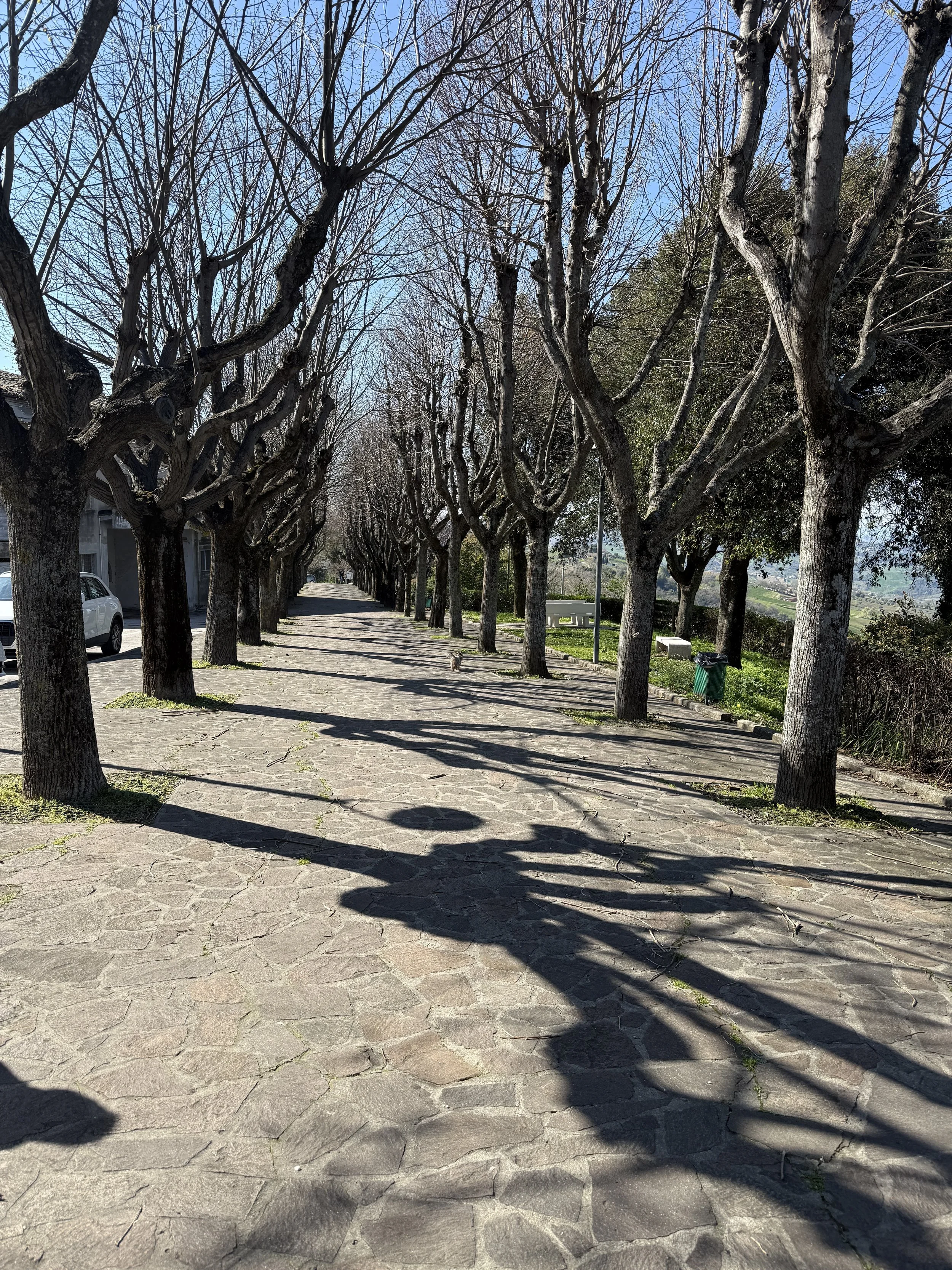 IMG_0461.jpeg