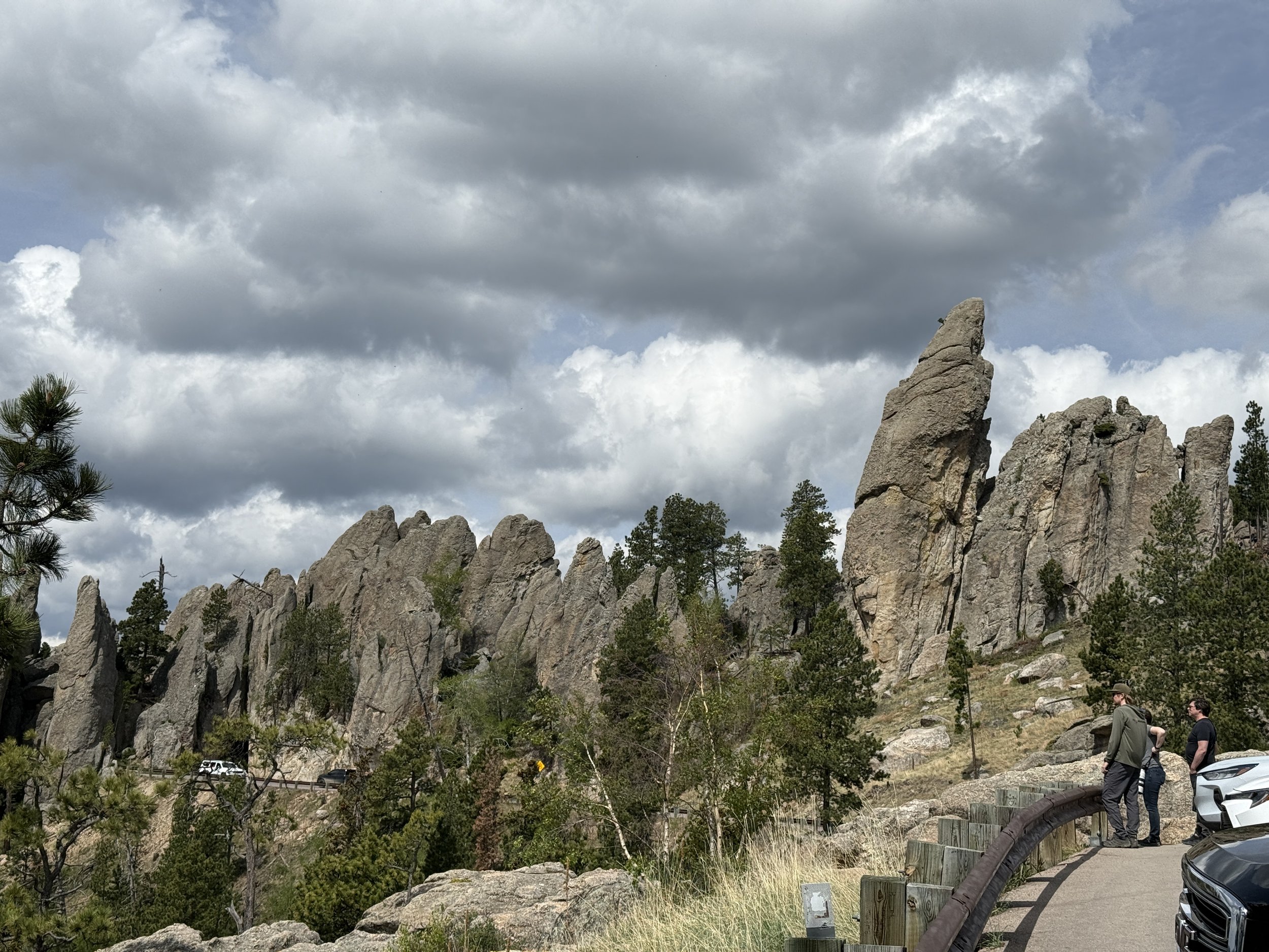View on Needles Highway