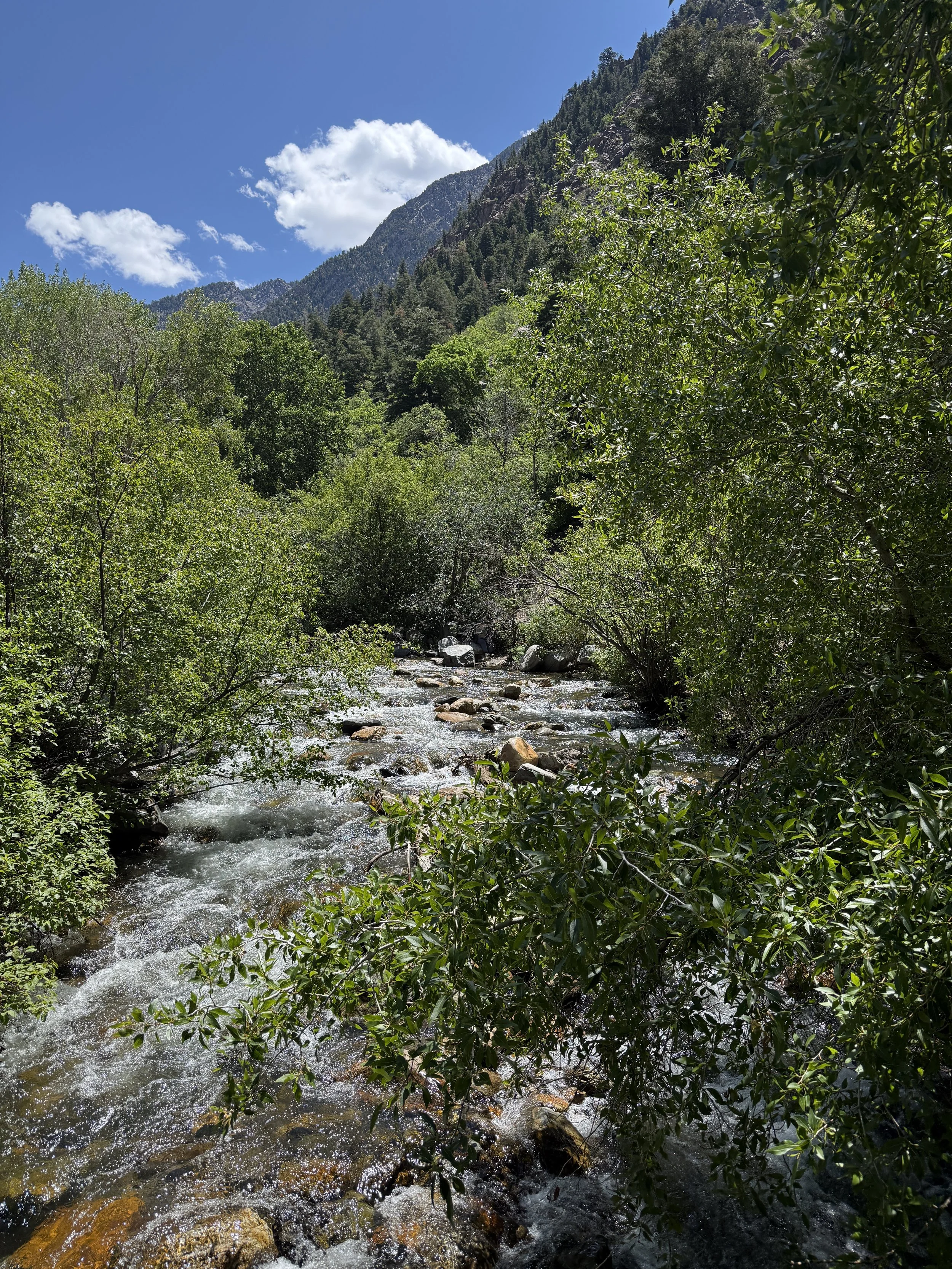 Gentle creek