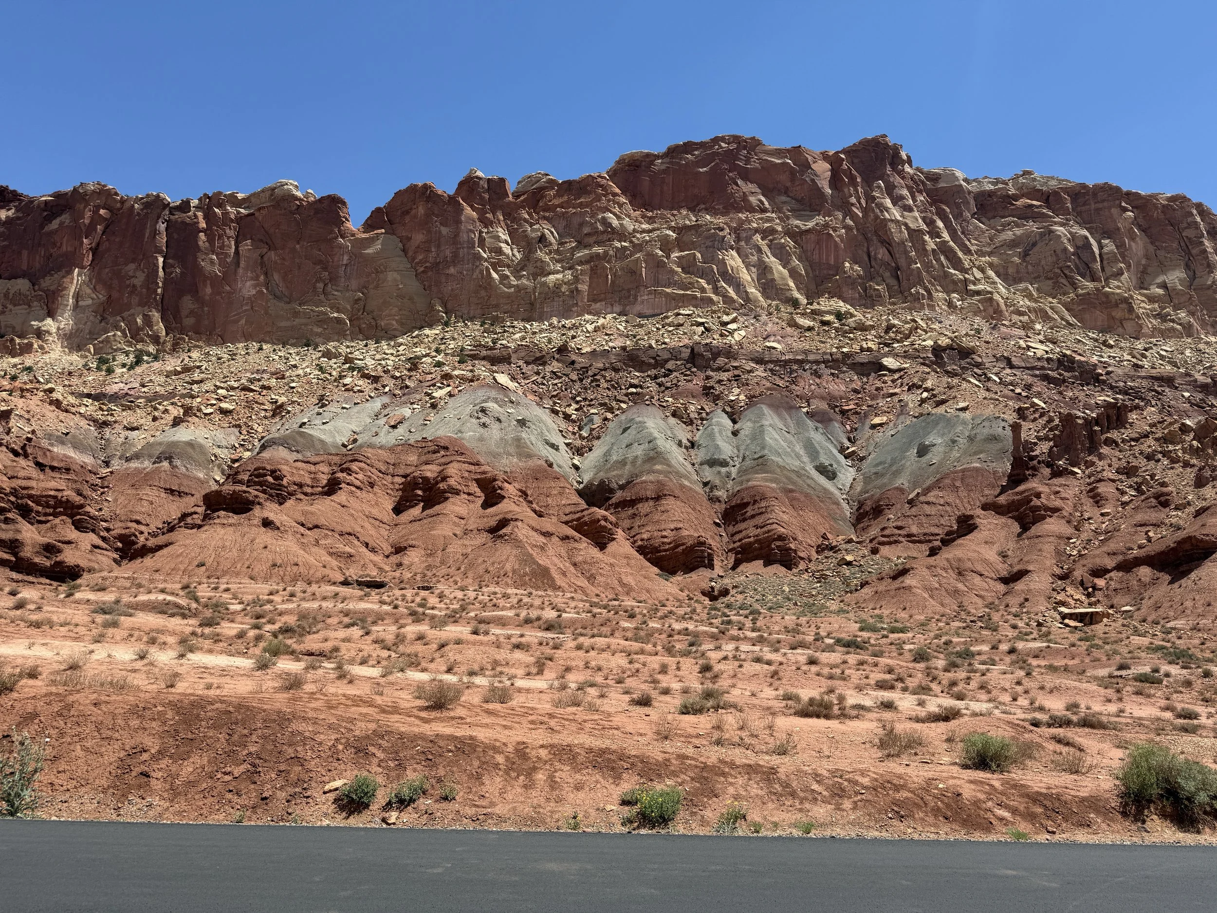 IMG_1813.jpeg