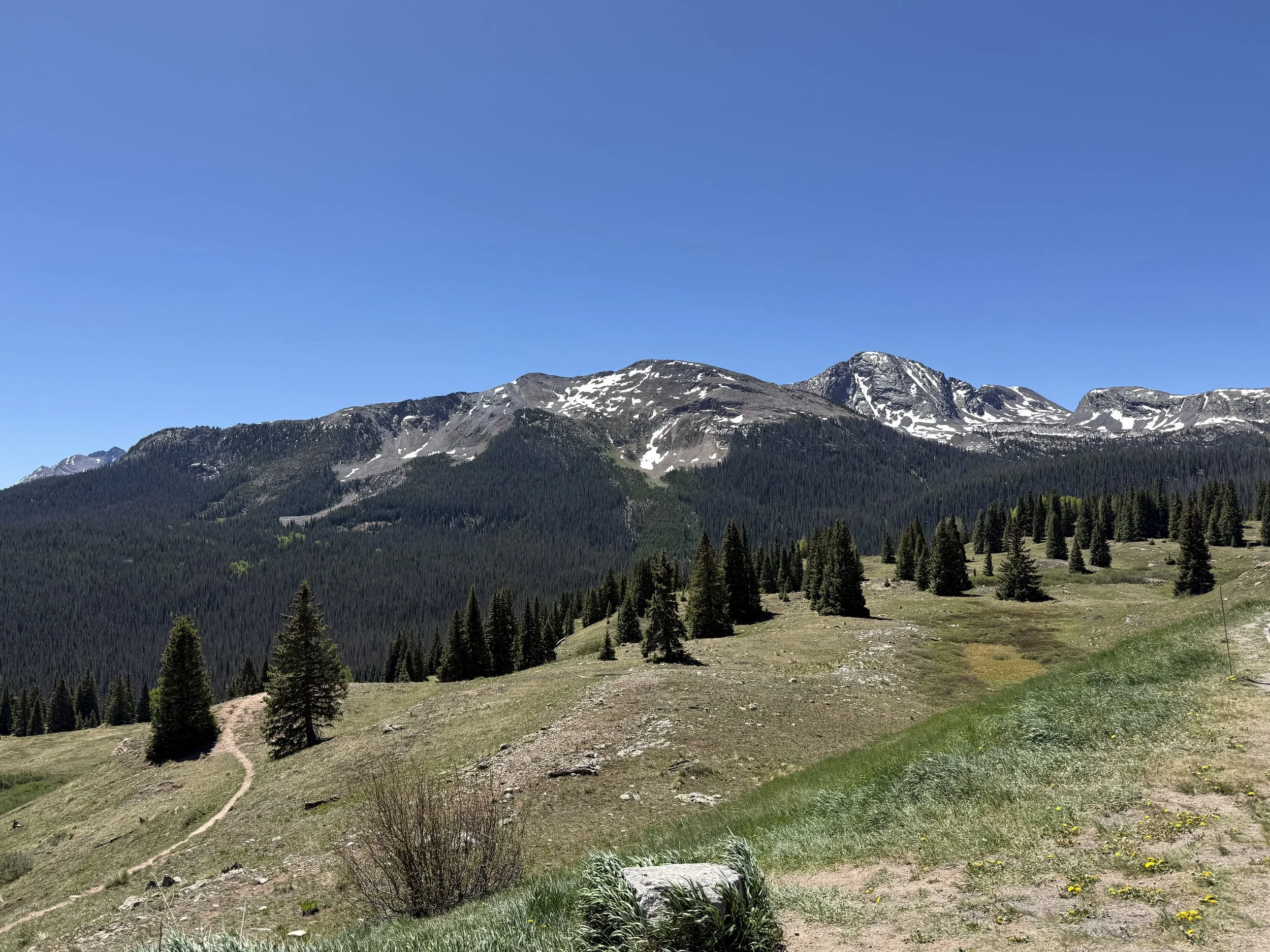 IMG_1988.jpeg