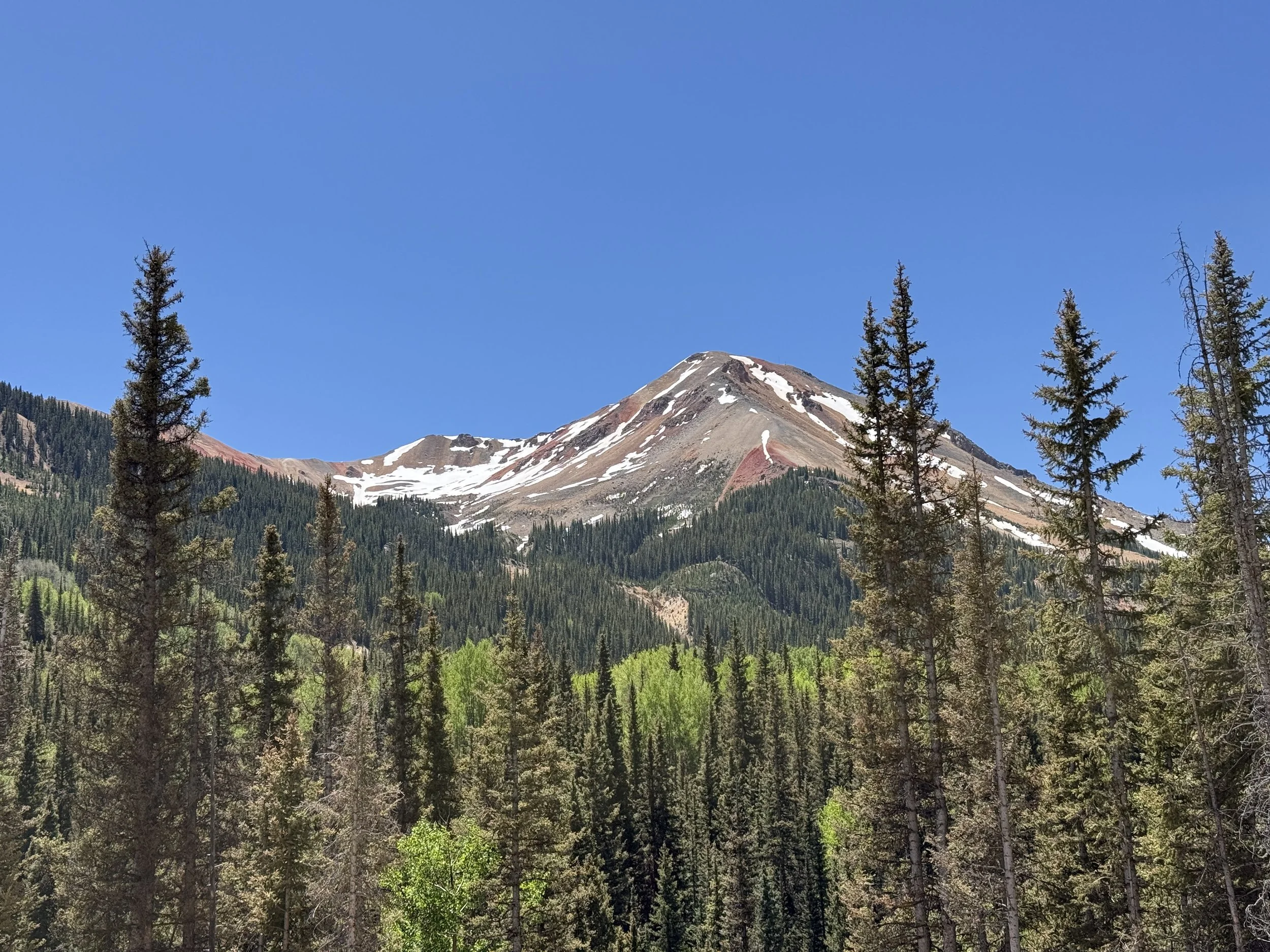 IMG_1999.jpeg