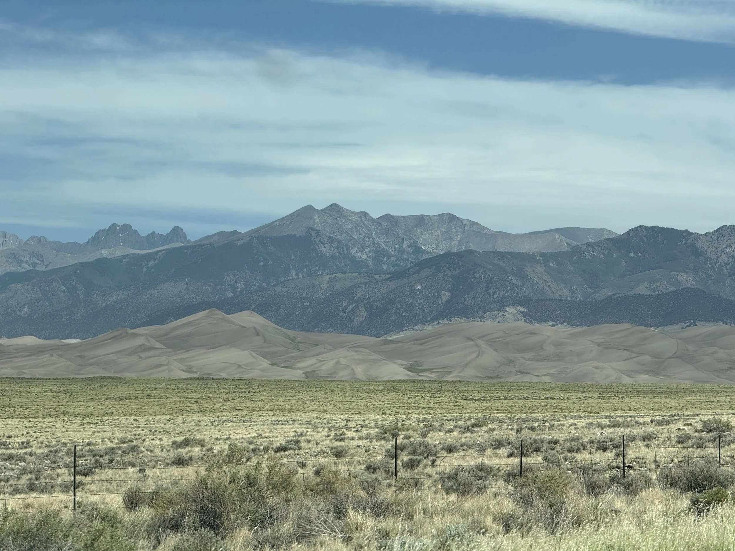 IMG_2056.jpeg