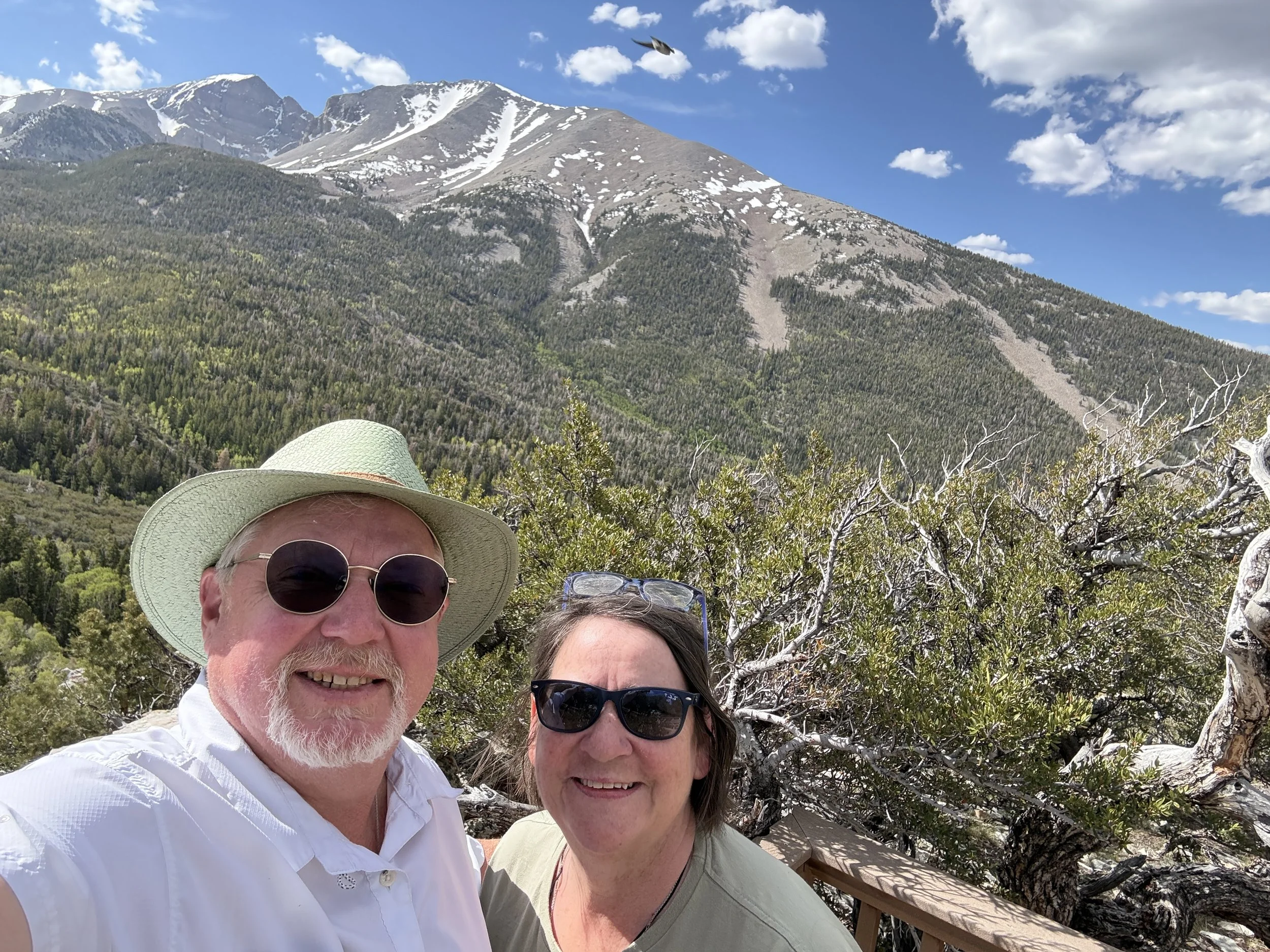 IMG_1598.jpeg
