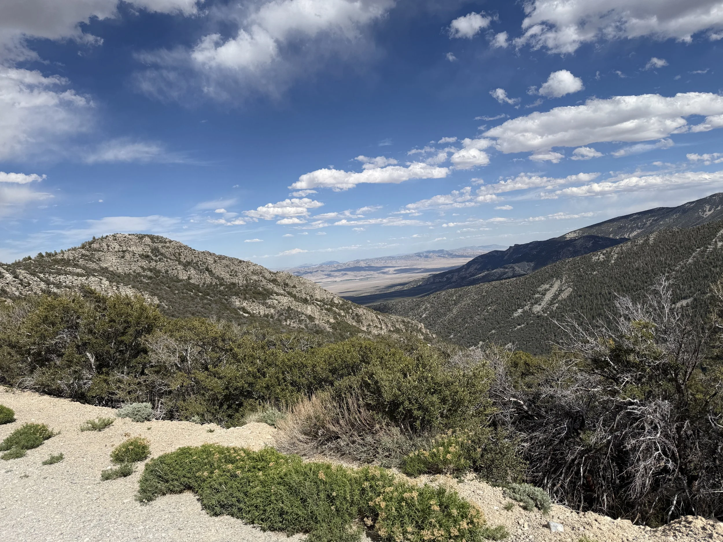 Wheeler Peak Scenic Drive