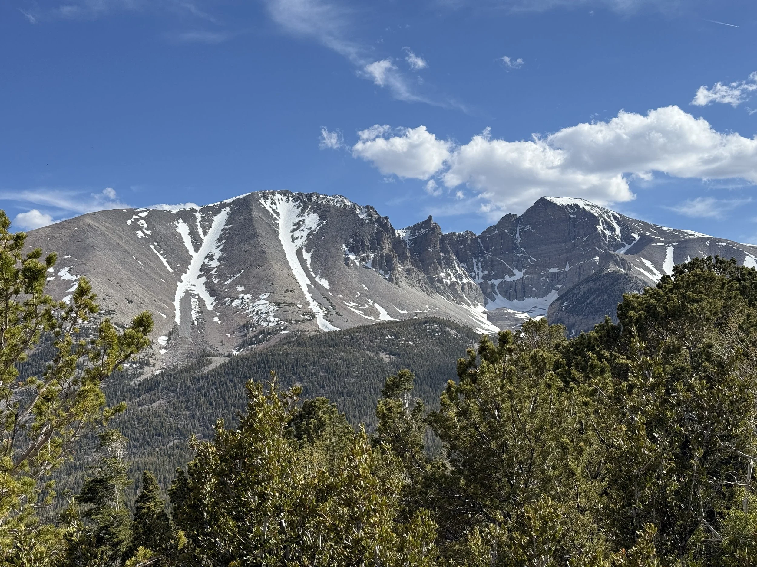 View from Wheeler Peak Overlook