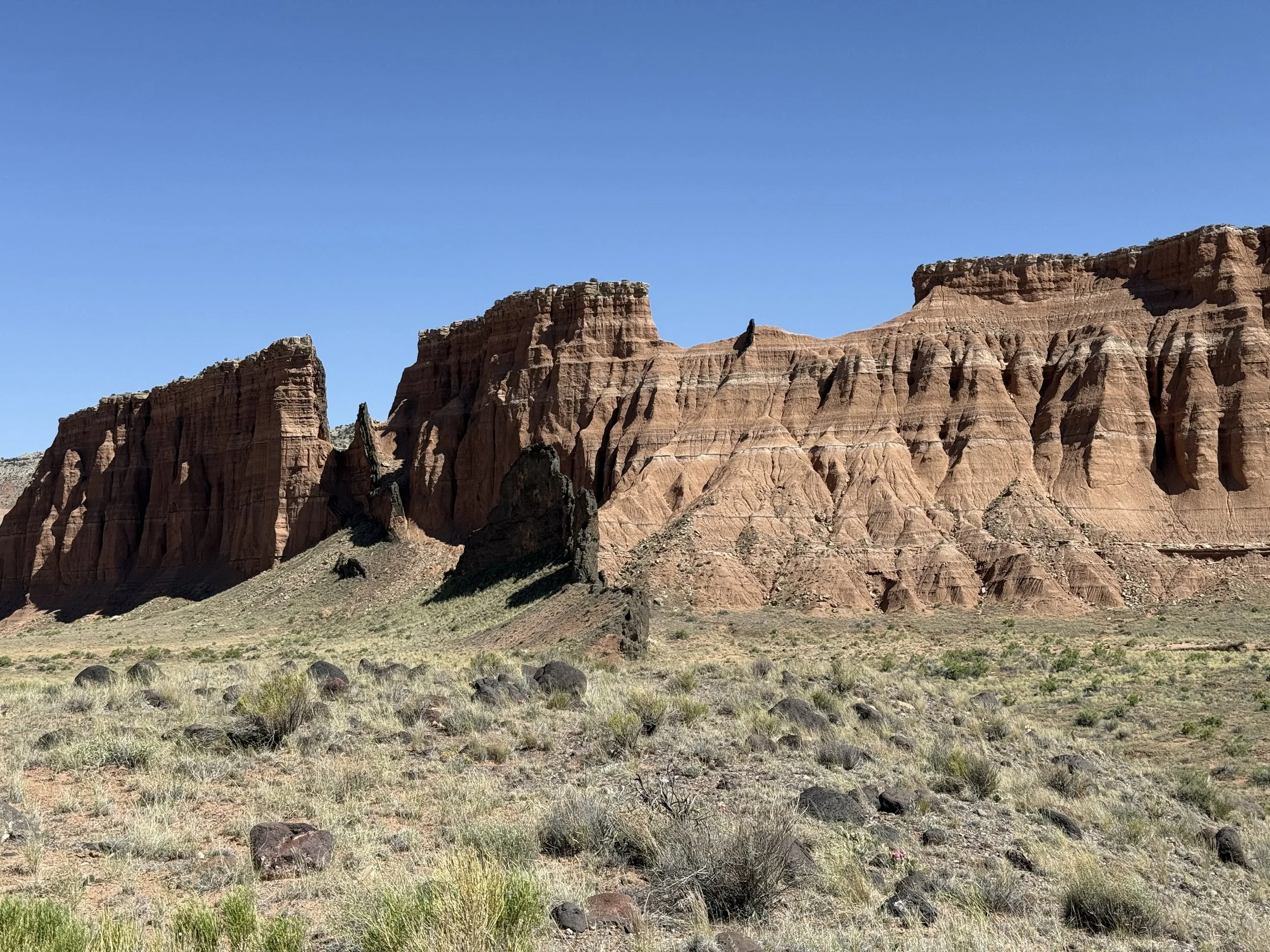 IMG_1858.jpeg